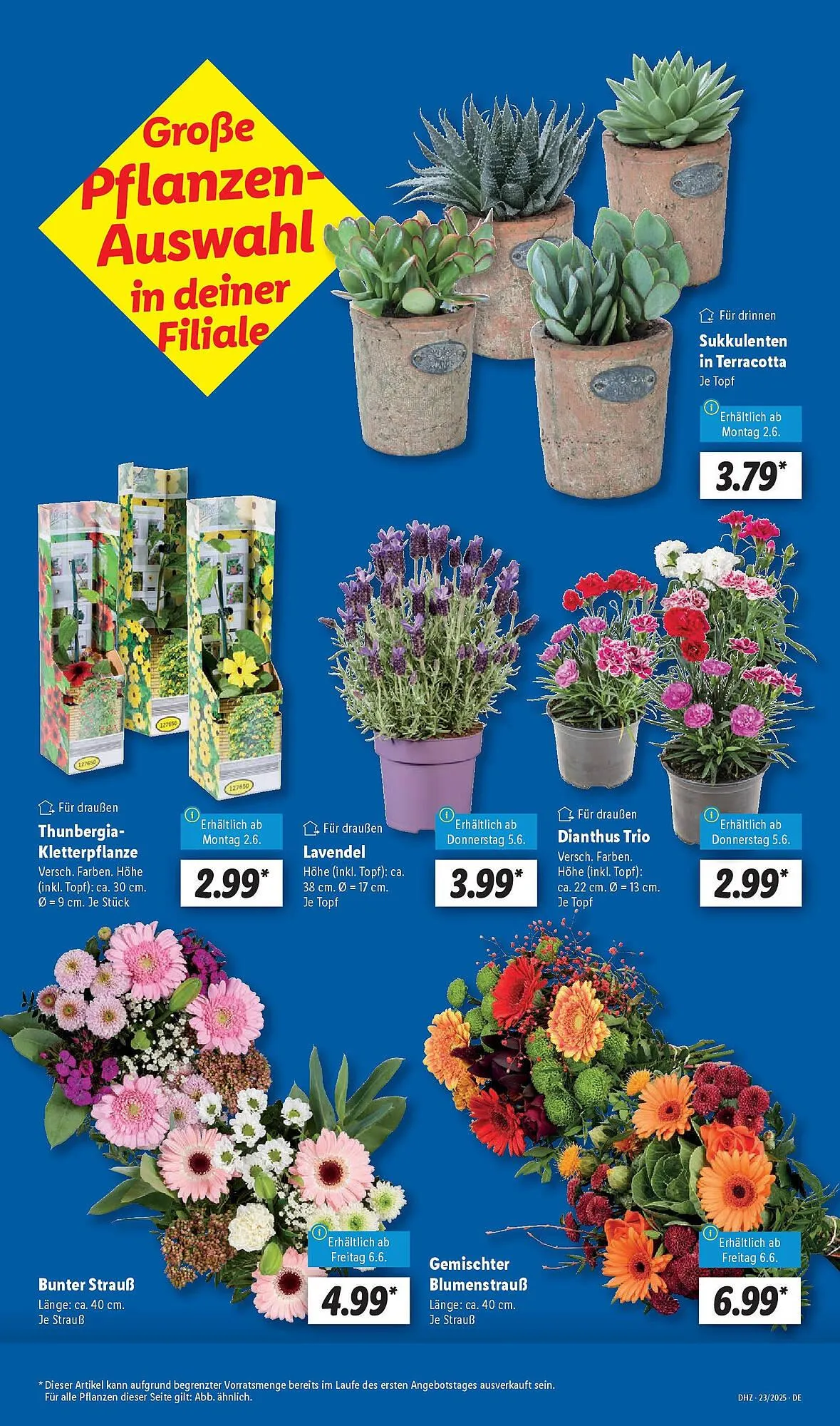 Lidl Prospekt von 1. Juni bis 7. Juni 2025 - Prospekt seite 11