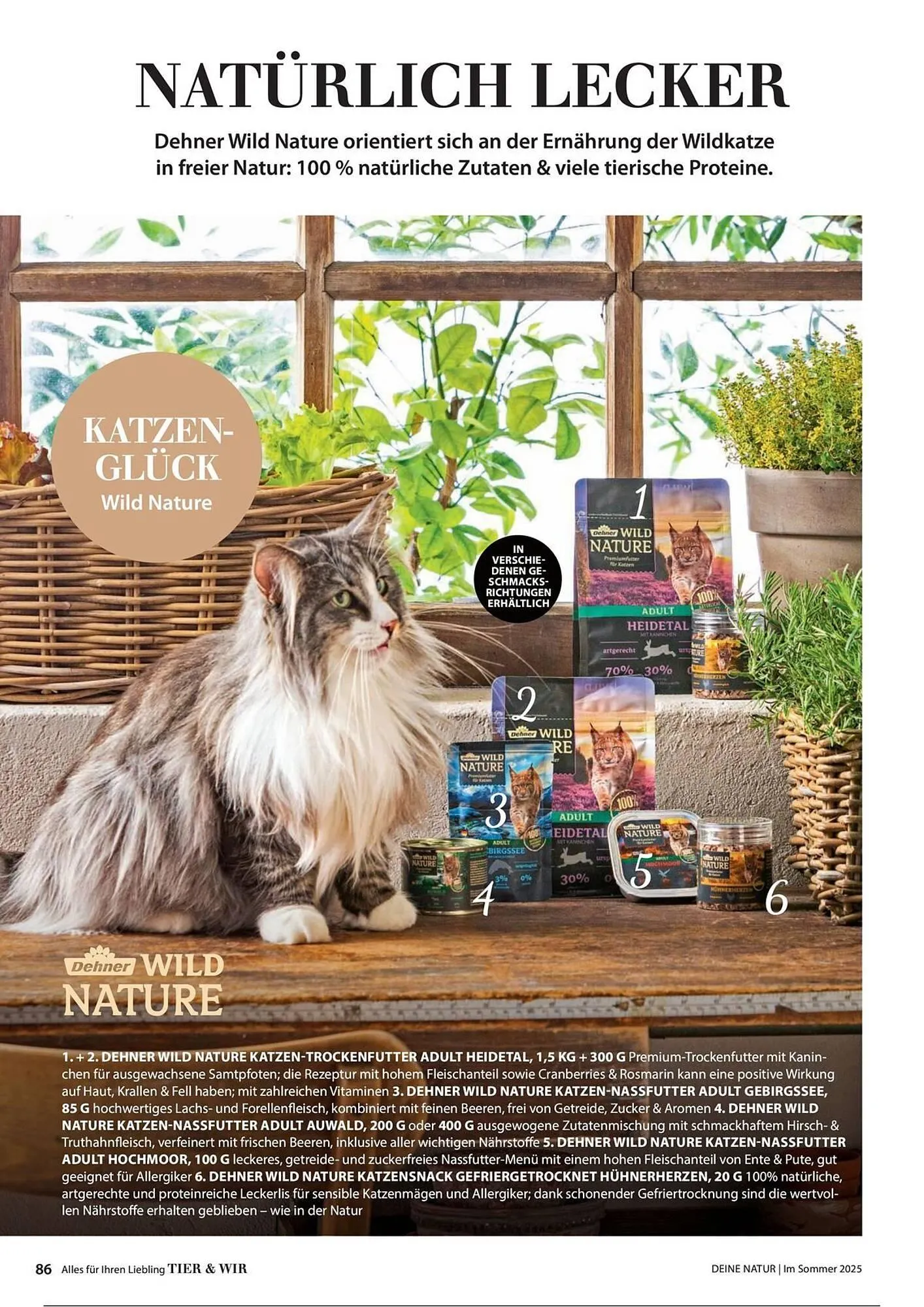 Dehner Prospekt von 1. Juli bis 31. Dezember 2025 - Prospekt seite 86