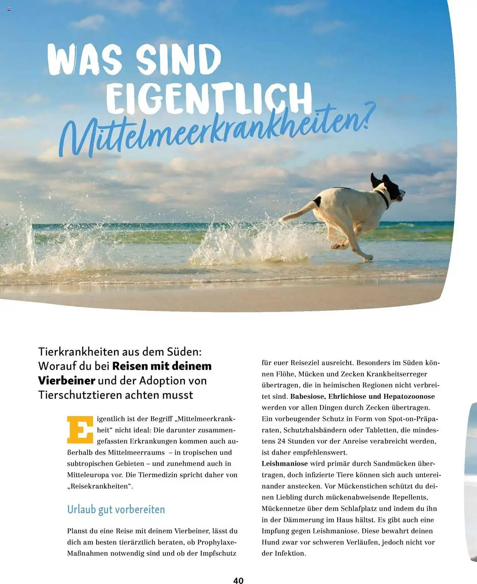 Fressnapf Prospekt von 1. Mai bis 30. Juni 2025 - Prospekt seite 40