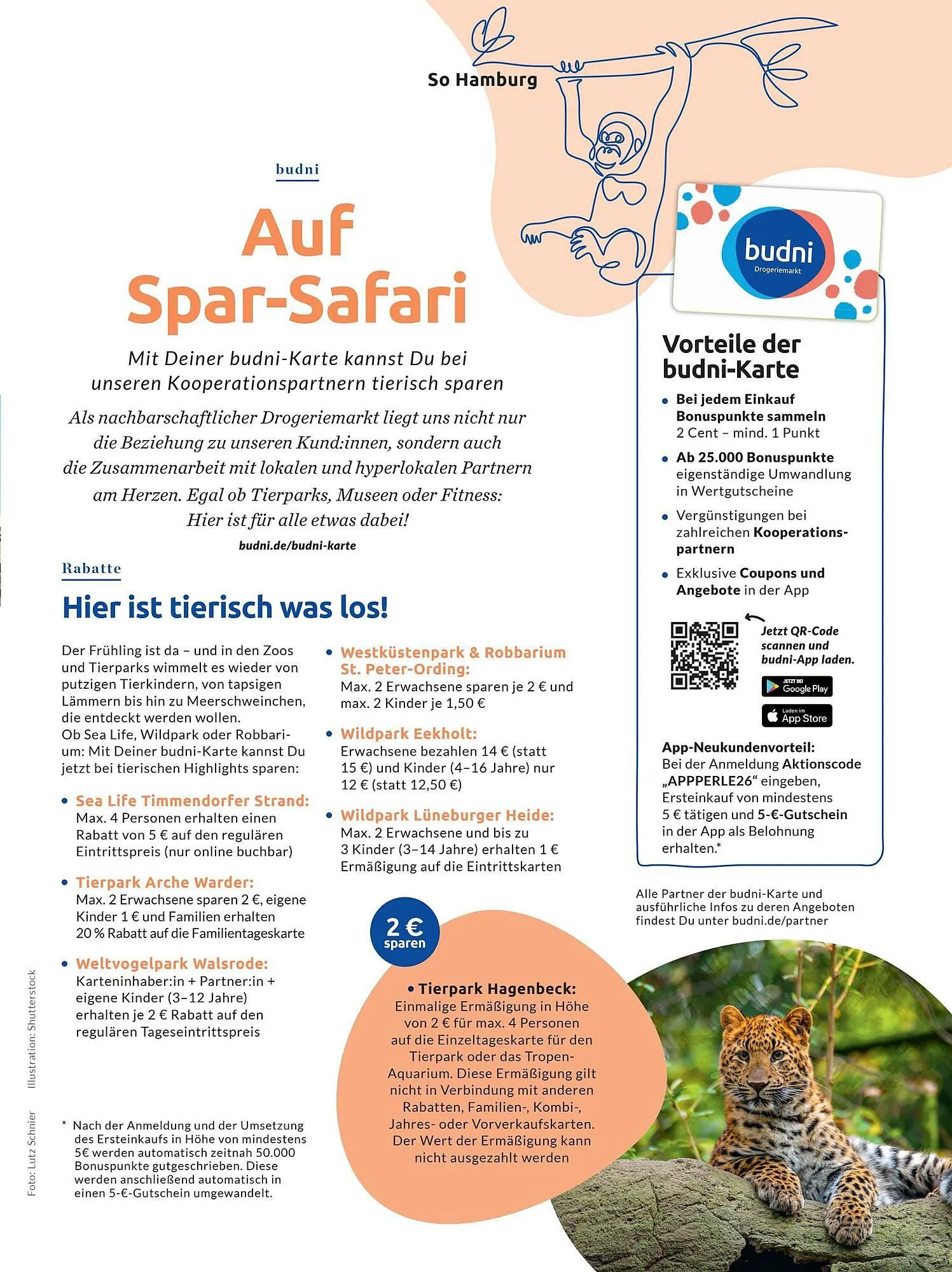 Budni Magazin von 5. Mai bis 30. Juni 2026 - Prospekt seite 61