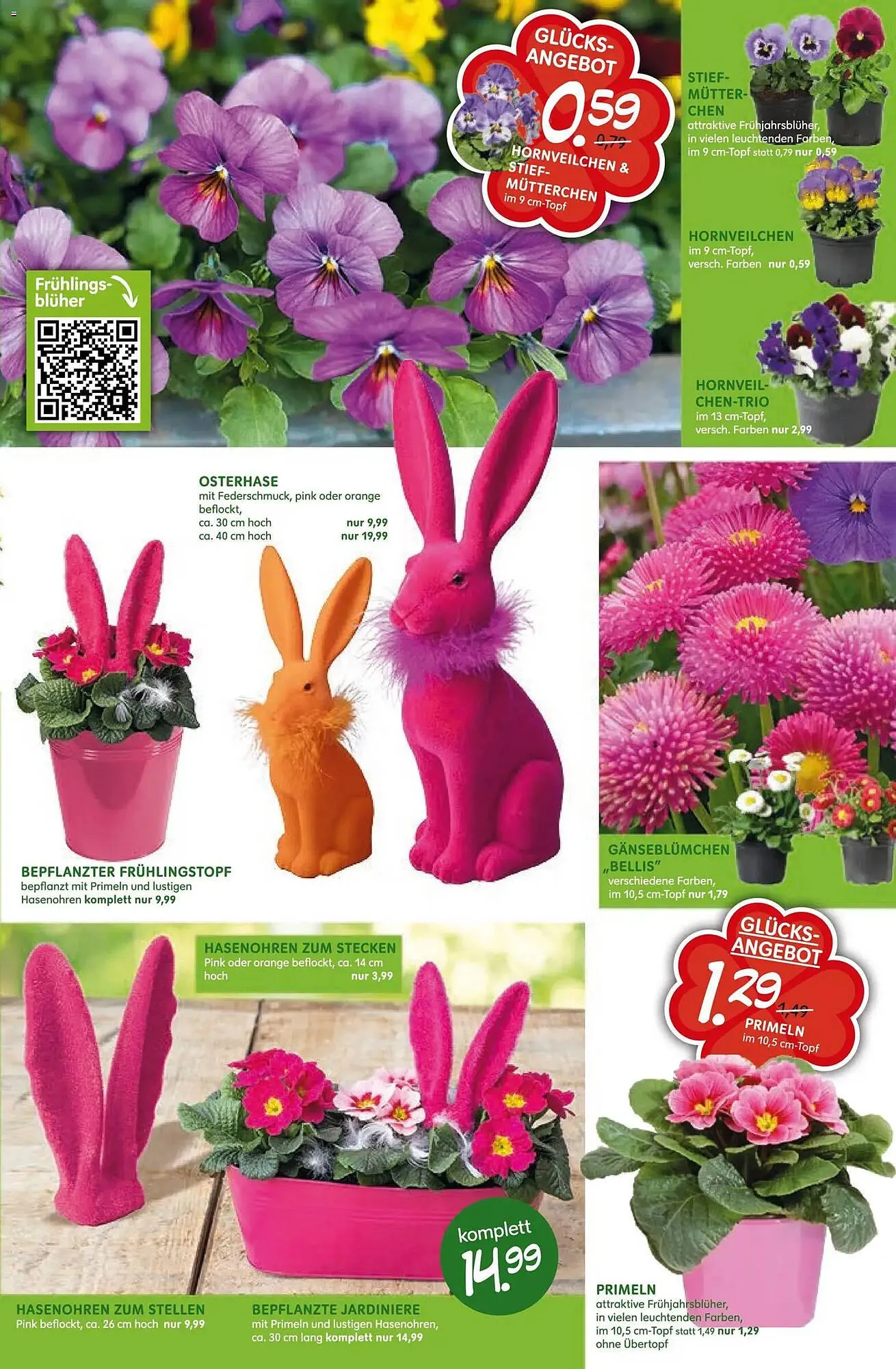 Blumen Risse Prospekt von 12. März bis 22. März 2026 - Prospekt seite 9