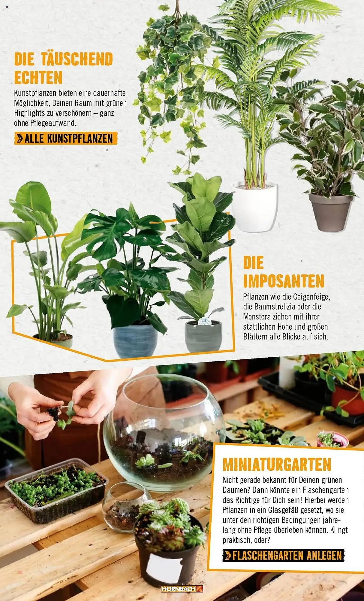 Hornbach Prospekt von 8. Juni bis 31. Dezember 2025 - Prospekt seite 25