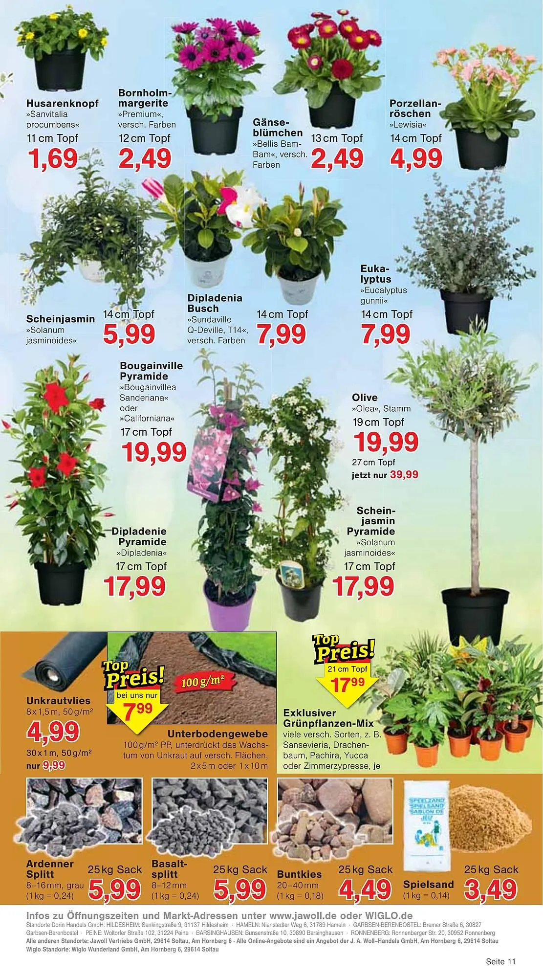 Wiglo Wunderland Prospekt von 31. März bis 5. April 2025 - Prospekt seite 11