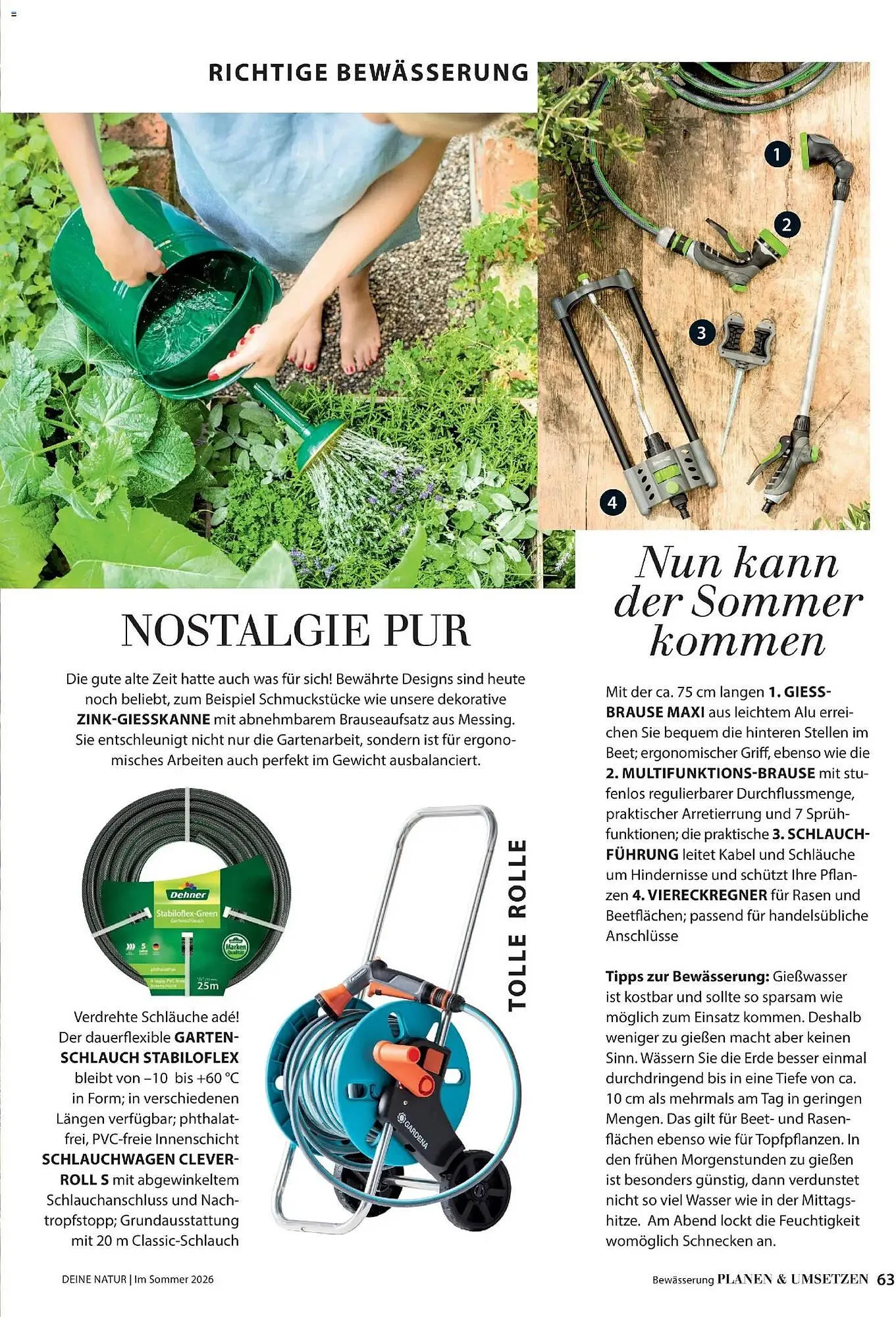 Dehner Prospekt von 17. April bis 31. August 2026 - Prospekt seite 63