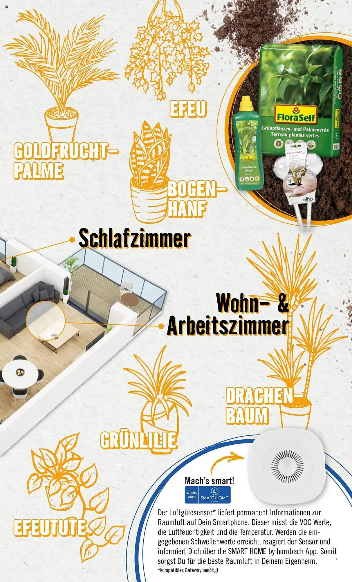 Hornbach Prospekt von 8. Juni bis 31. Dezember 2025 - Prospekt seite 23
