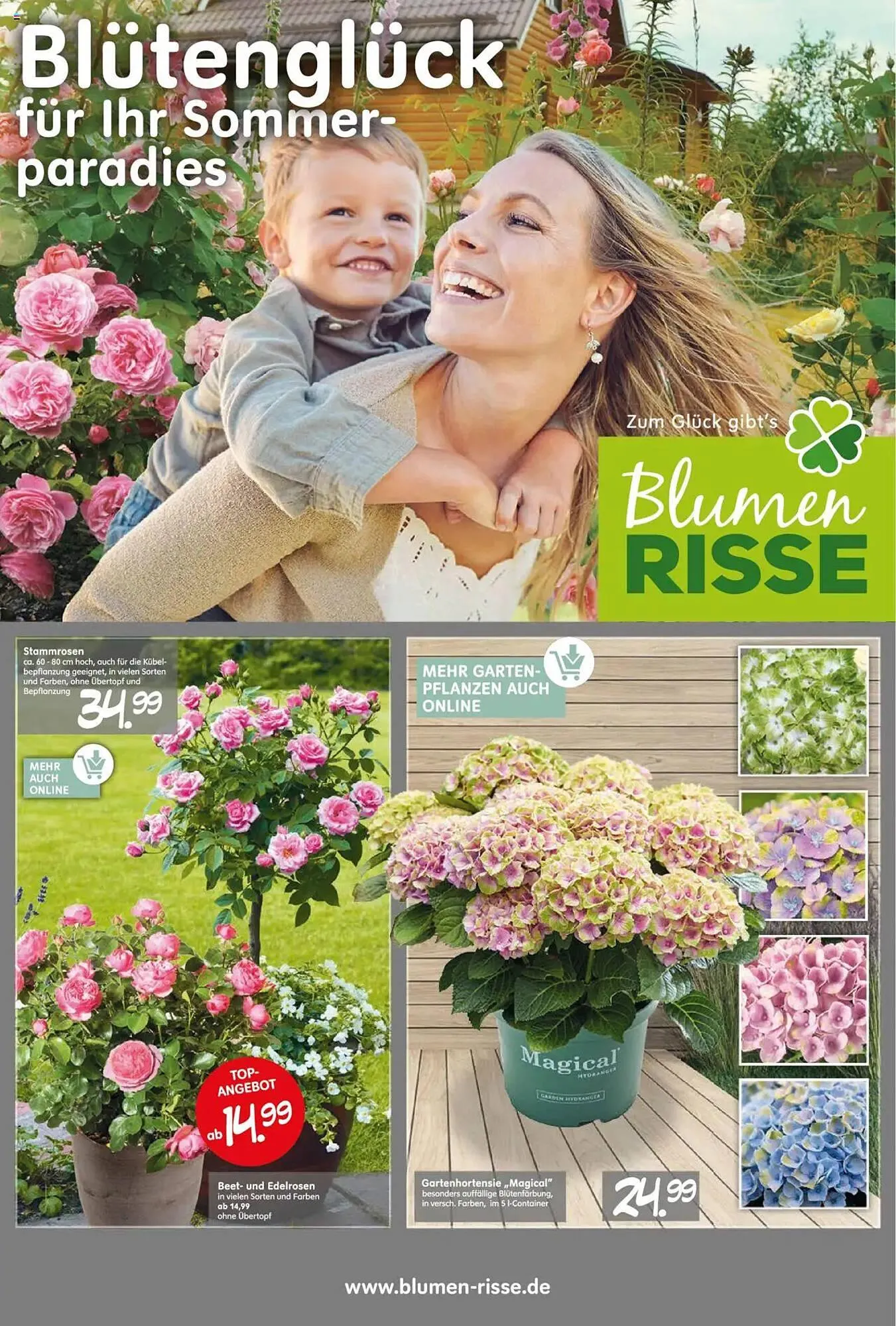 Blumen Risse Prospekt - 1