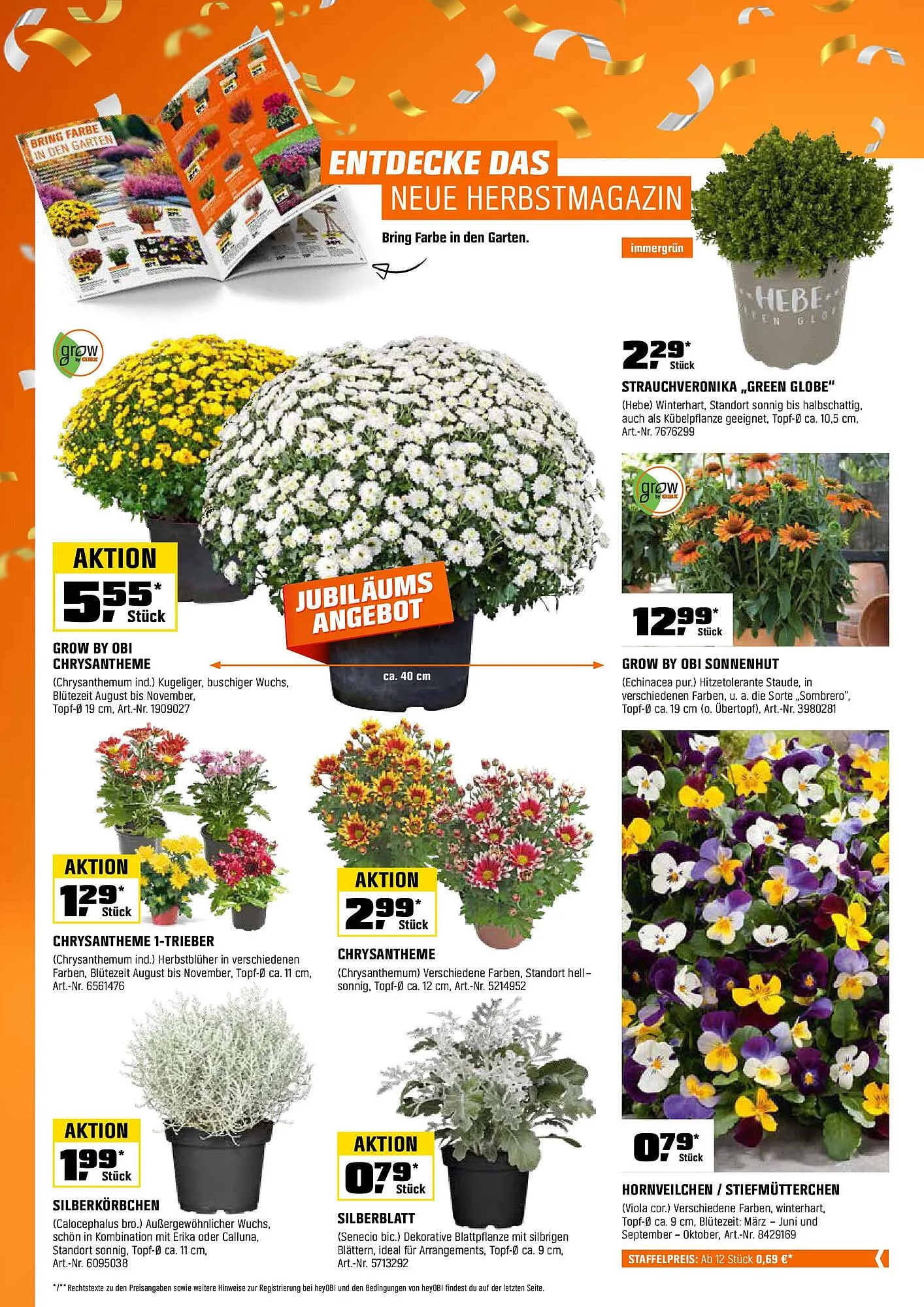 OBI Prospekt von 31. August bis 14. September 2025 - Prospekt seite 6