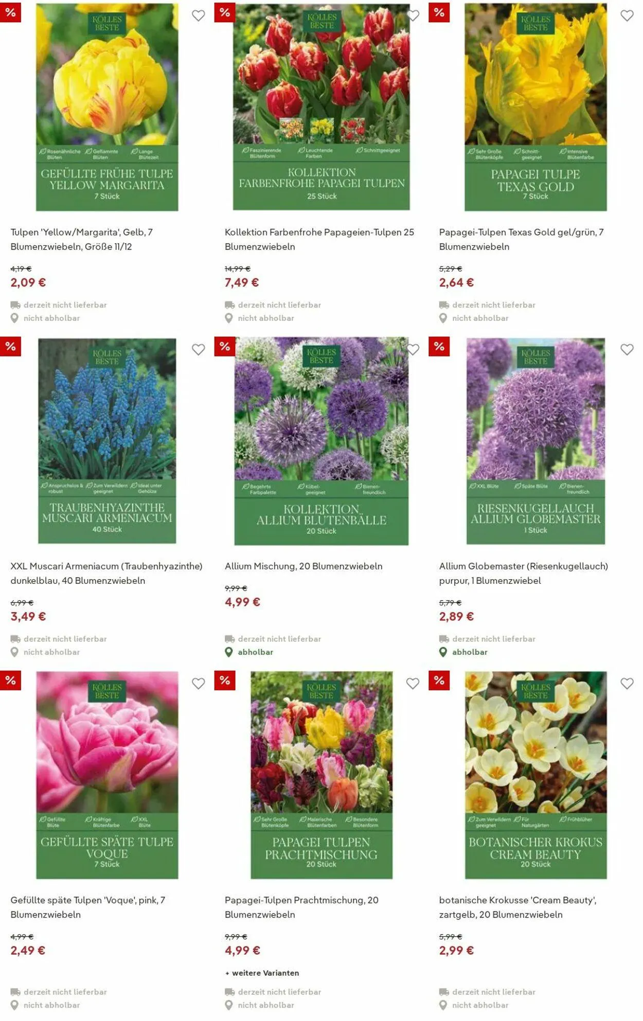 Pflanzen-Kölle Aktueller Prospekt von 15. Dezember bis 24. Dezember 2025 - Prospekt seite 12