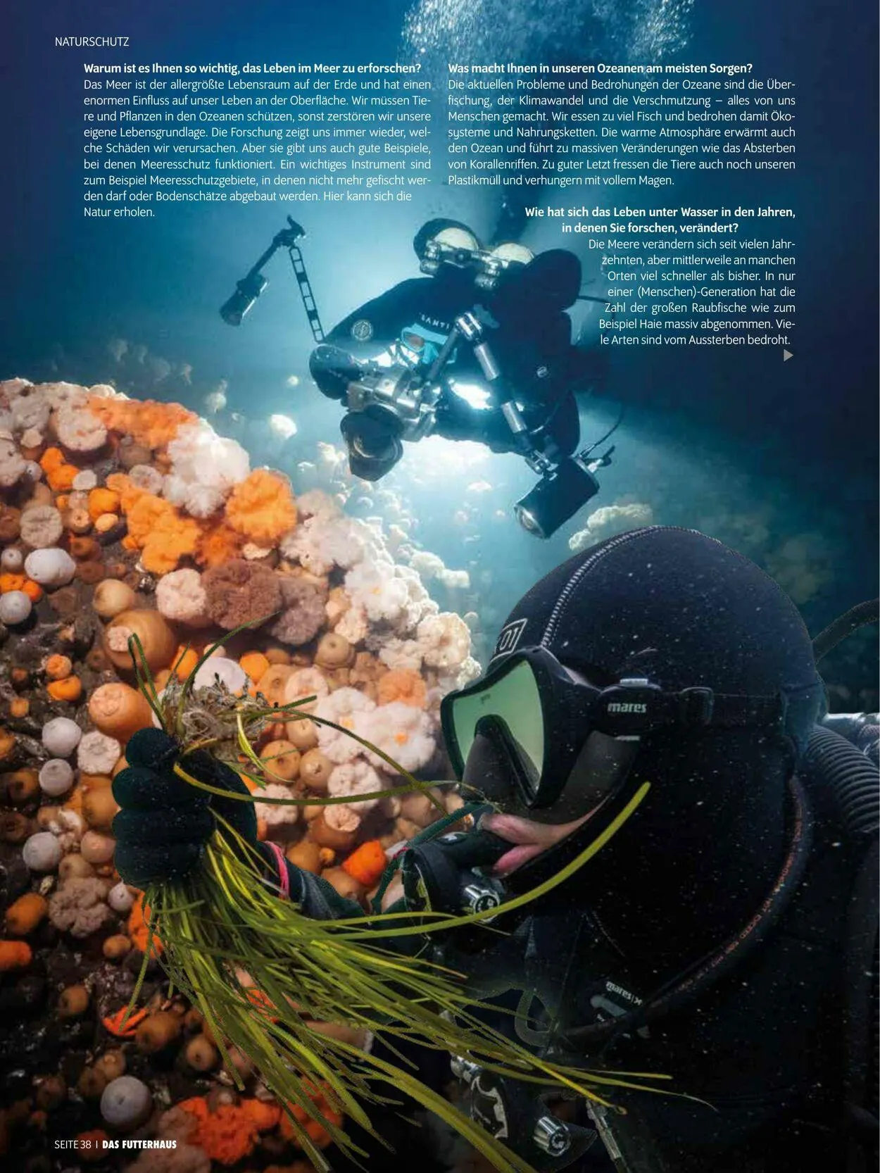 Futterhaus Aktueller Prospekt von 1. Mai bis 31. Mai 2025 - Prospekt seite 38