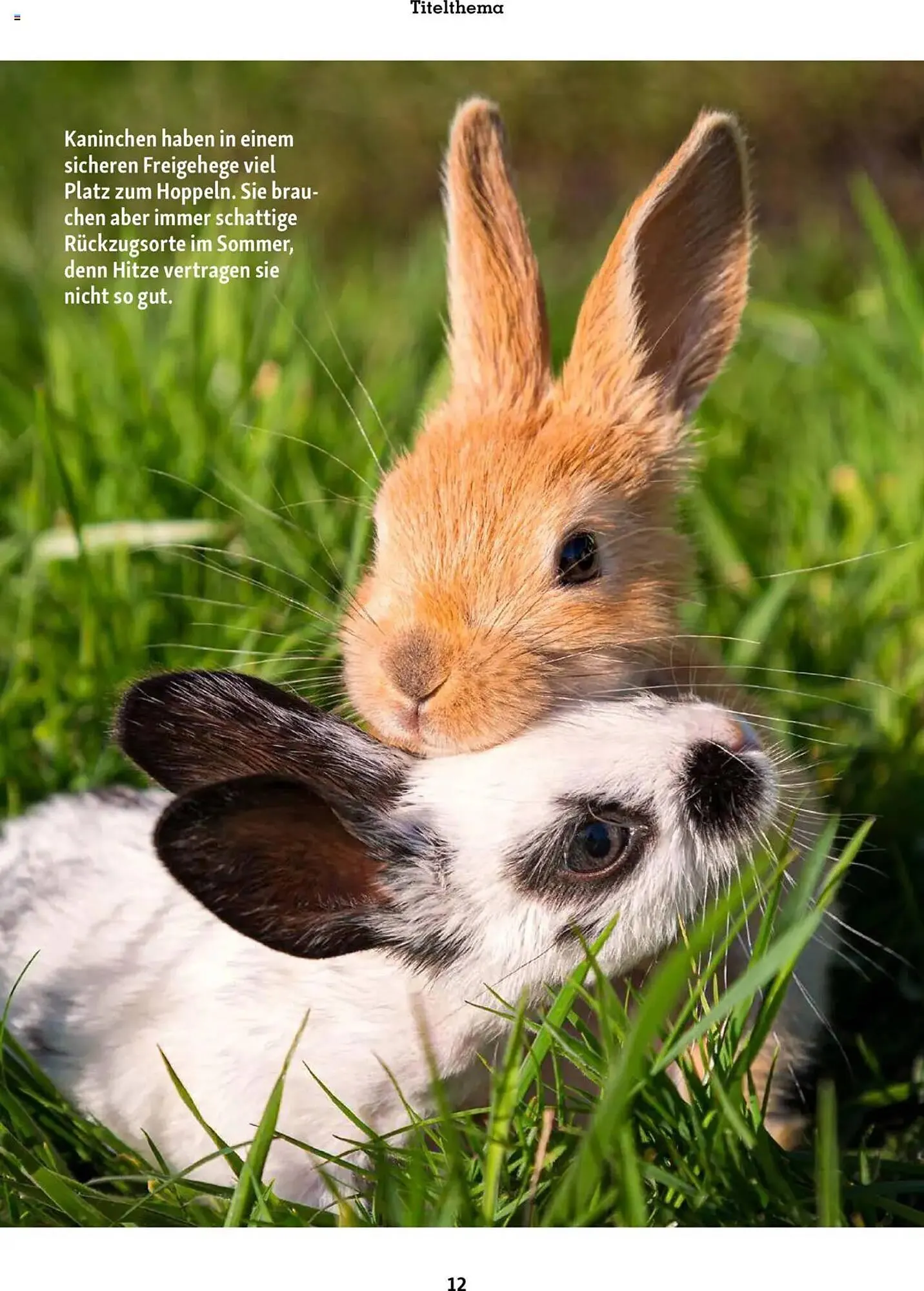 Fressnapf Prospekt von 1. Juli bis 31. August 2025 - Prospekt seite 12