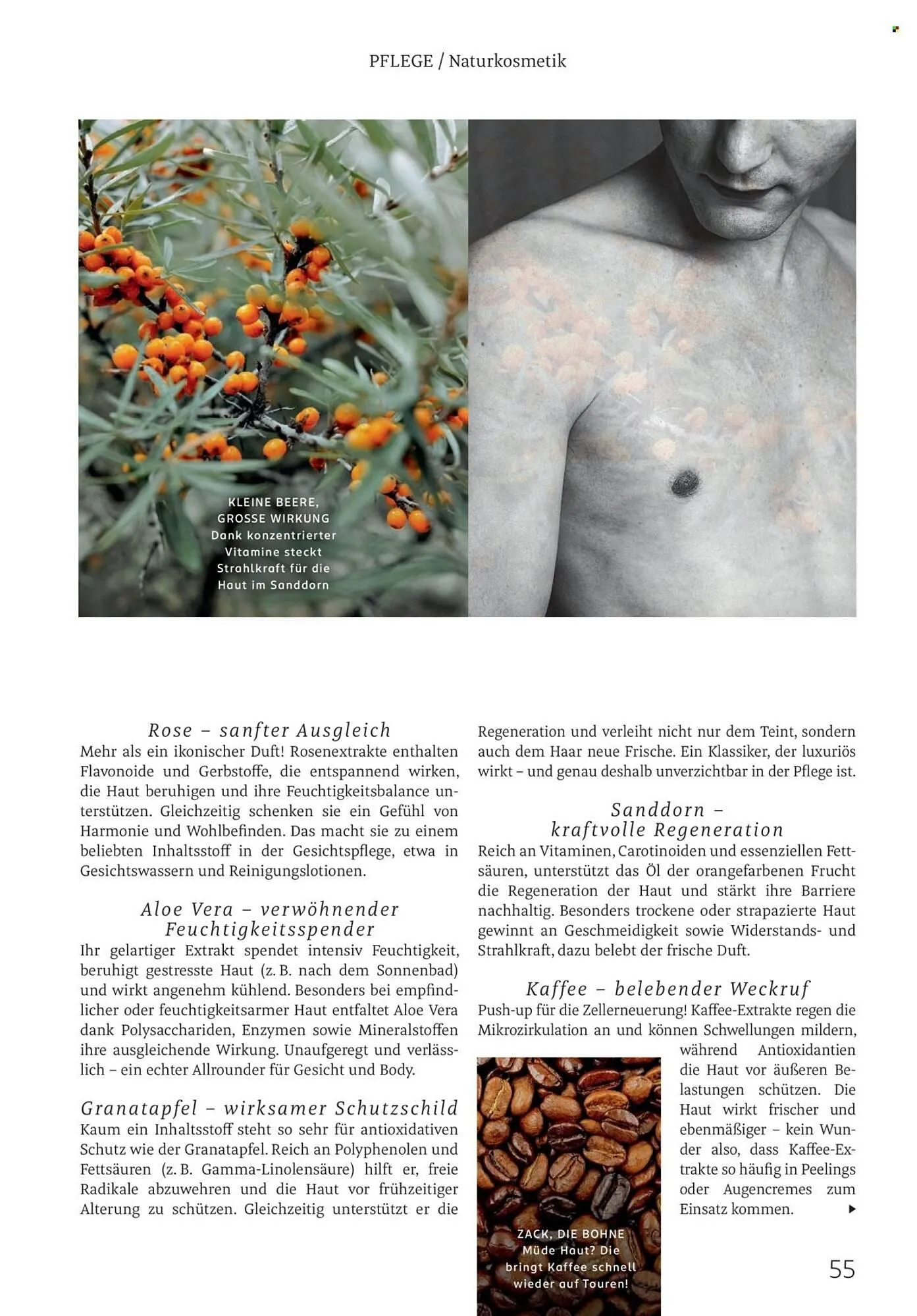 Rossmann Magazin von 1. März bis 31. März 2026 - Prospekt seite 55