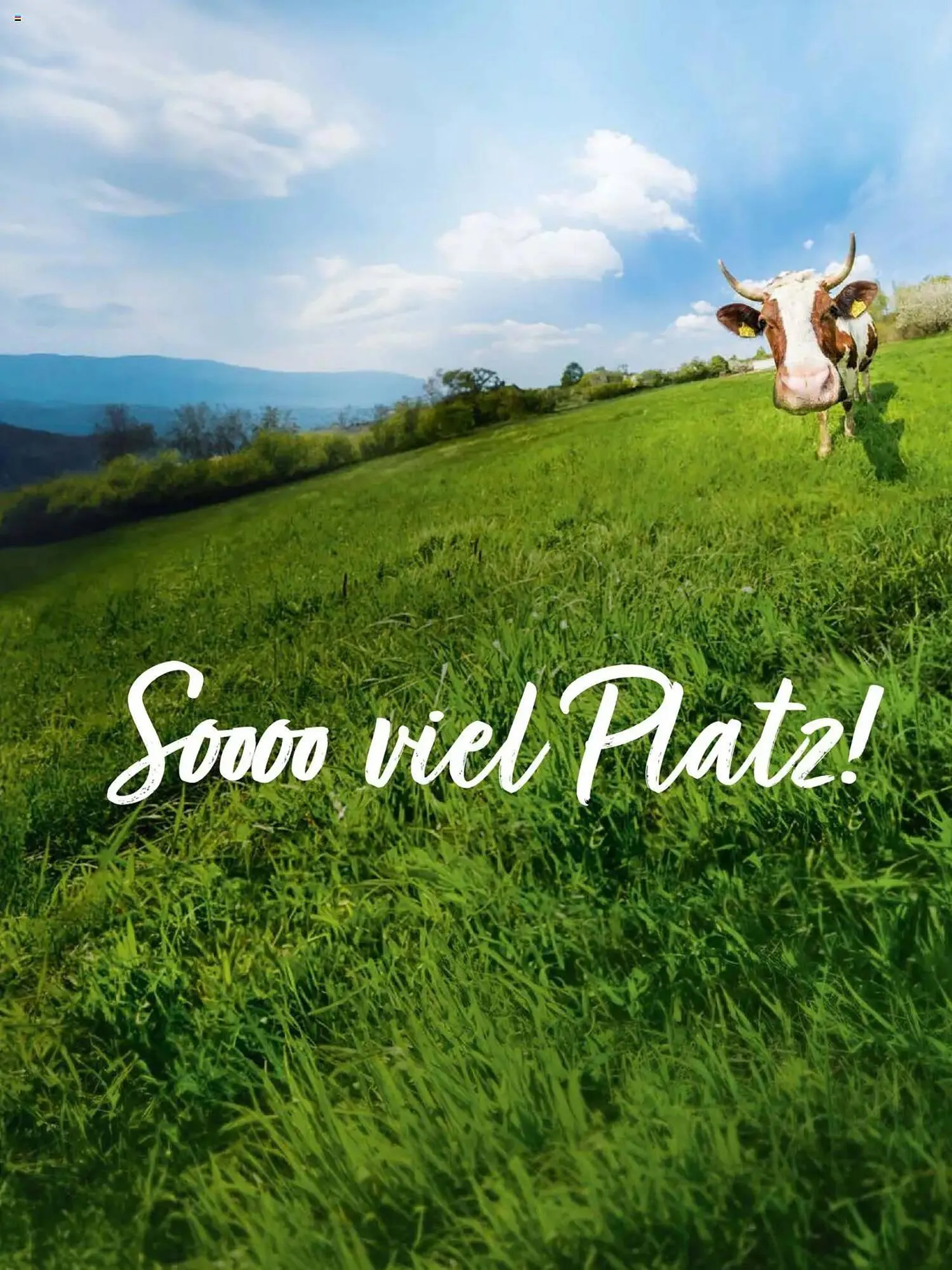 Alnatura Prospekt von 1. April bis 30. April 2025 - Prospekt seite 25