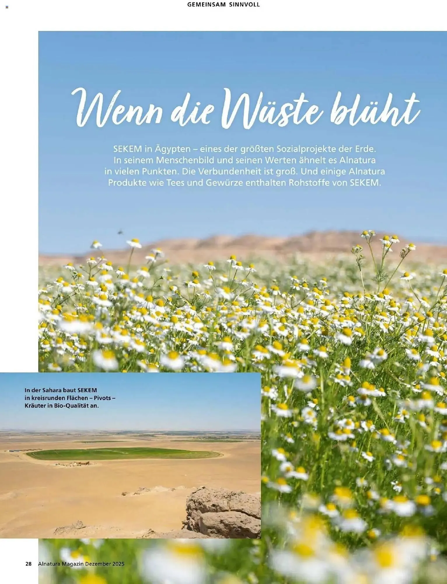 Alnatura Prospekt von 1. Dezember bis 31. Dezember 2025 - Prospekt seite 28