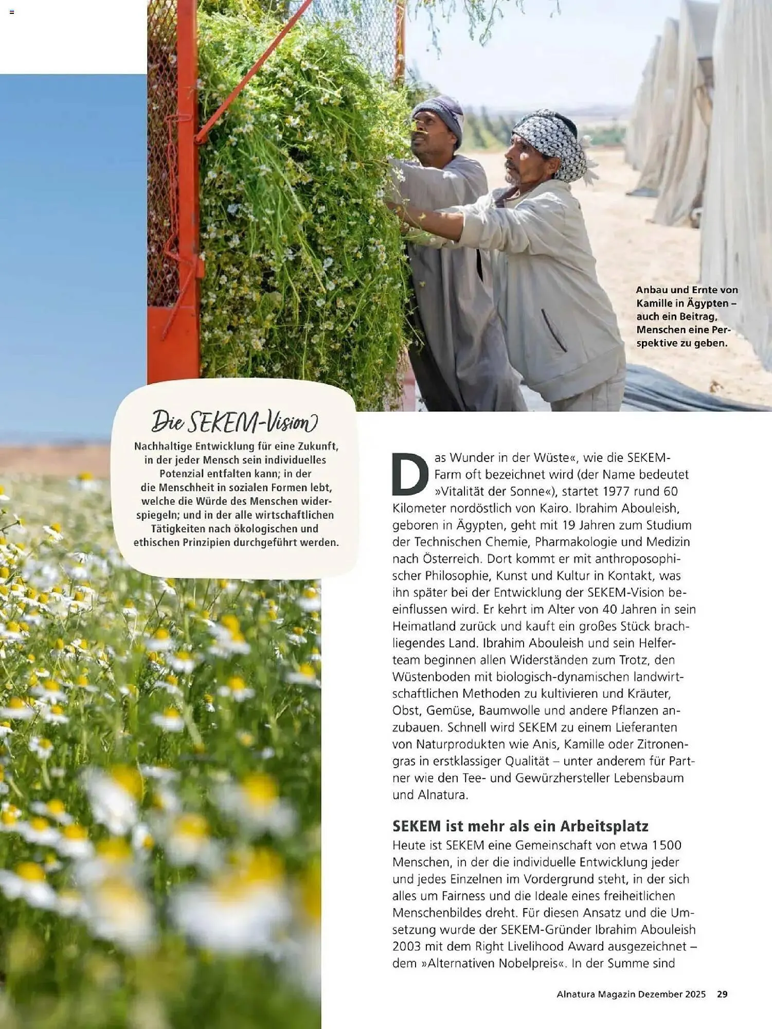 Alnatura Prospekt von 1. Dezember bis 31. Dezember 2025 - Prospekt seite 29