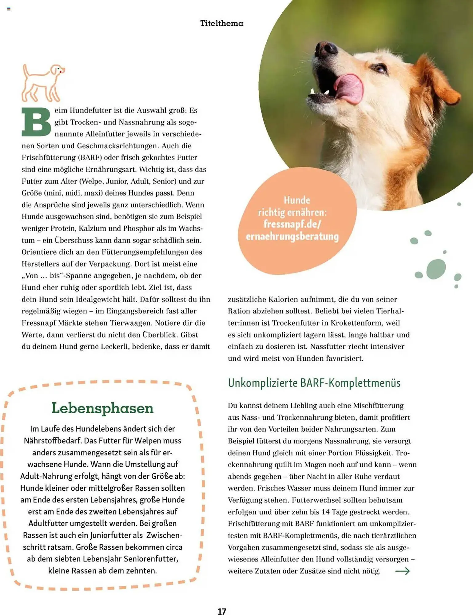 Fressnapf Magazin von 1. September bis 31. Oktober 2025 - Prospekt seite 17