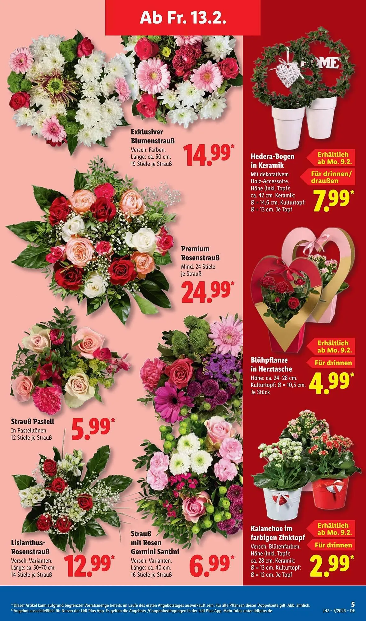 Lidl Prospekt von 9. Februar bis 15. Februar 2026 - Prospekt seite 13