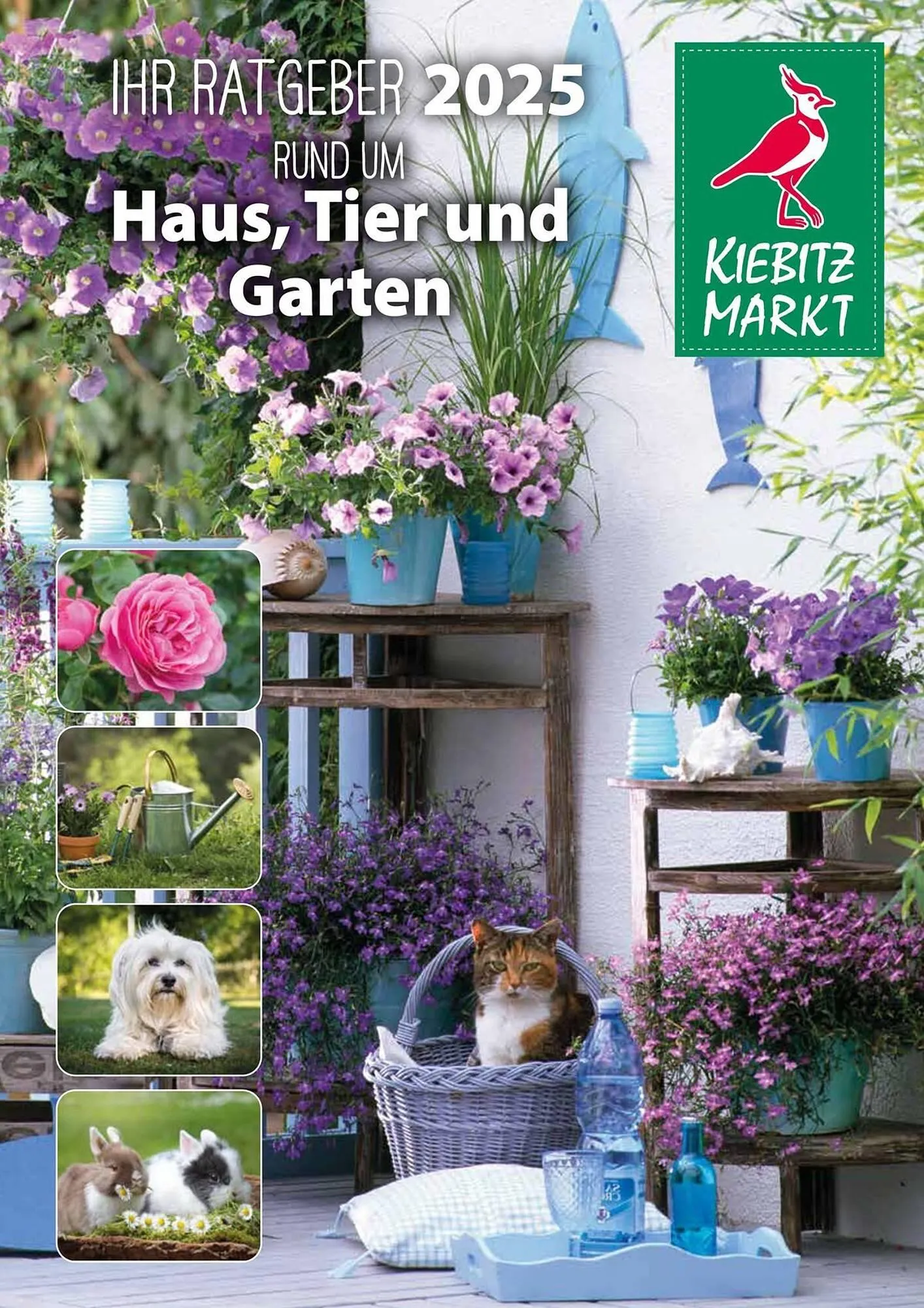 Kiebitzmarkt Prospekt - 1