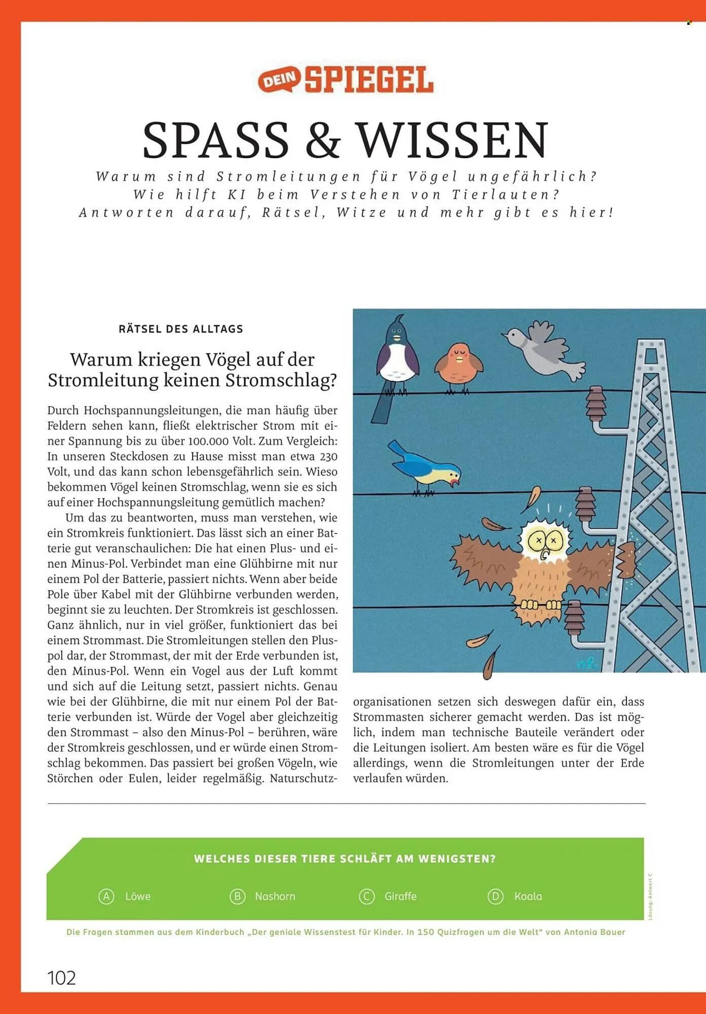 Rossmann Magazin von 1. März bis 31. März 2026 - Prospekt seite 102