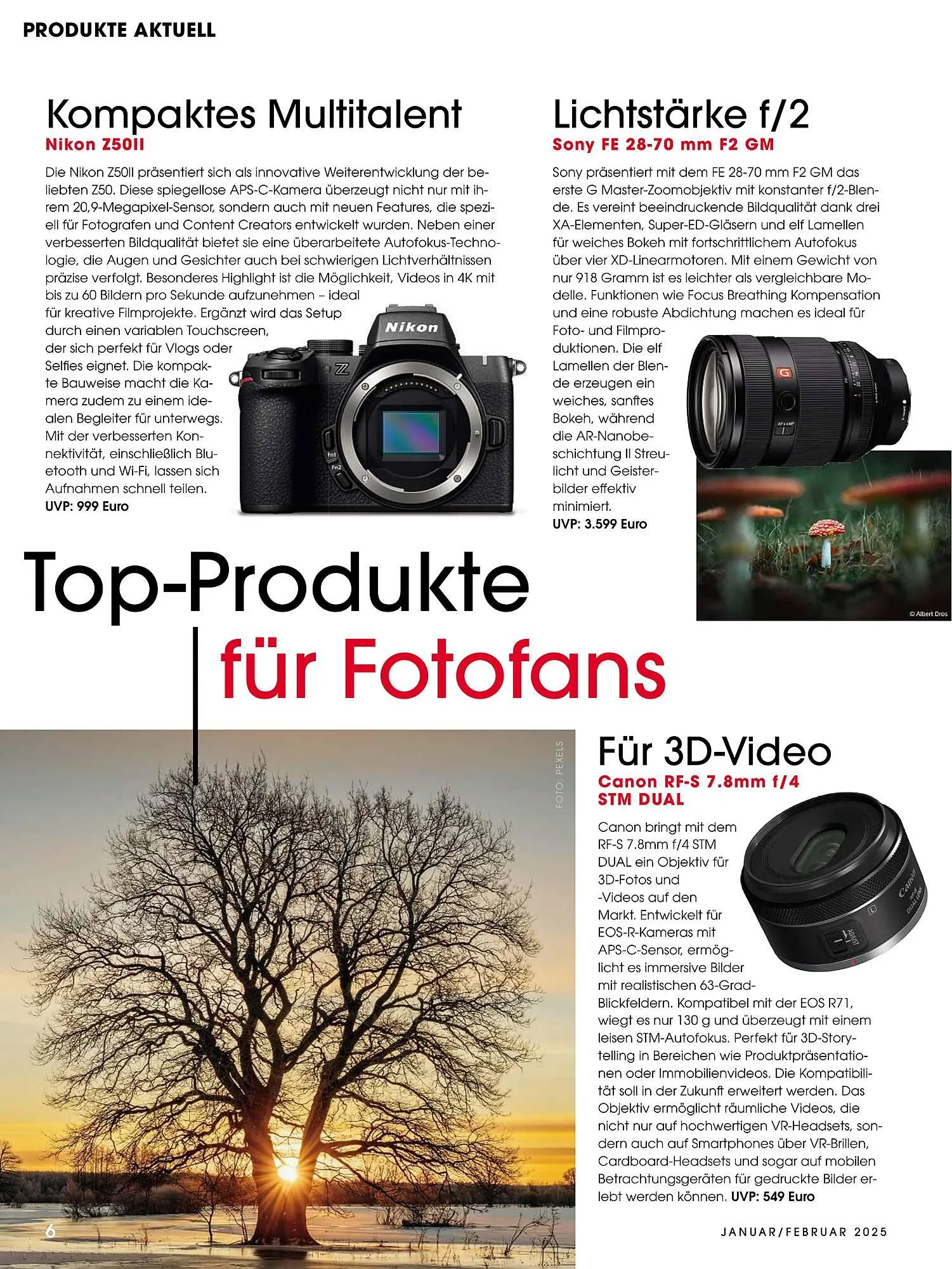 Ringfoto Prospekt von 1. Januar bis 28. Februar 2025 - Prospekt seite 6