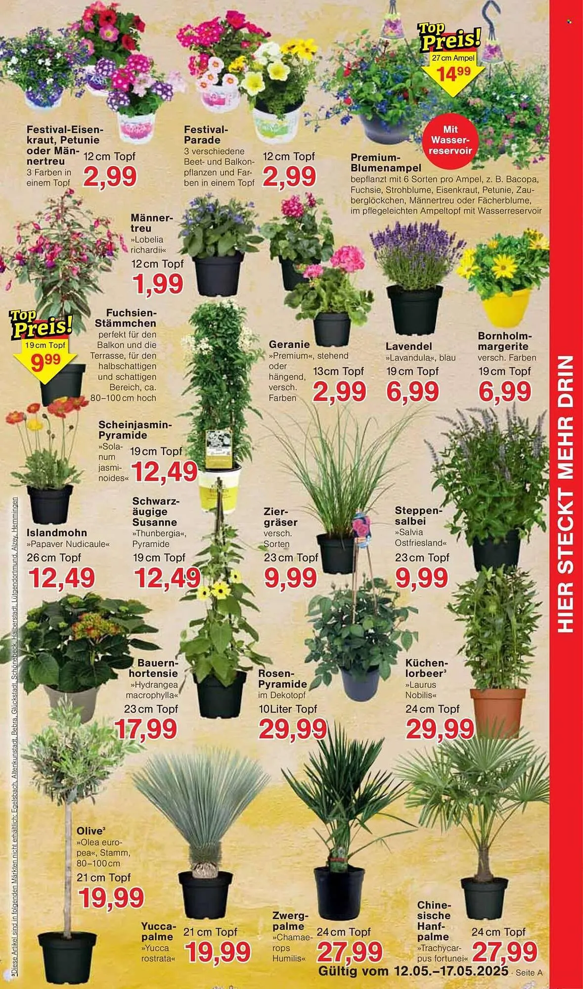 Jawoll Prospekt von 12. Mai bis 17. Mai 2025 - Prospekt seite 7