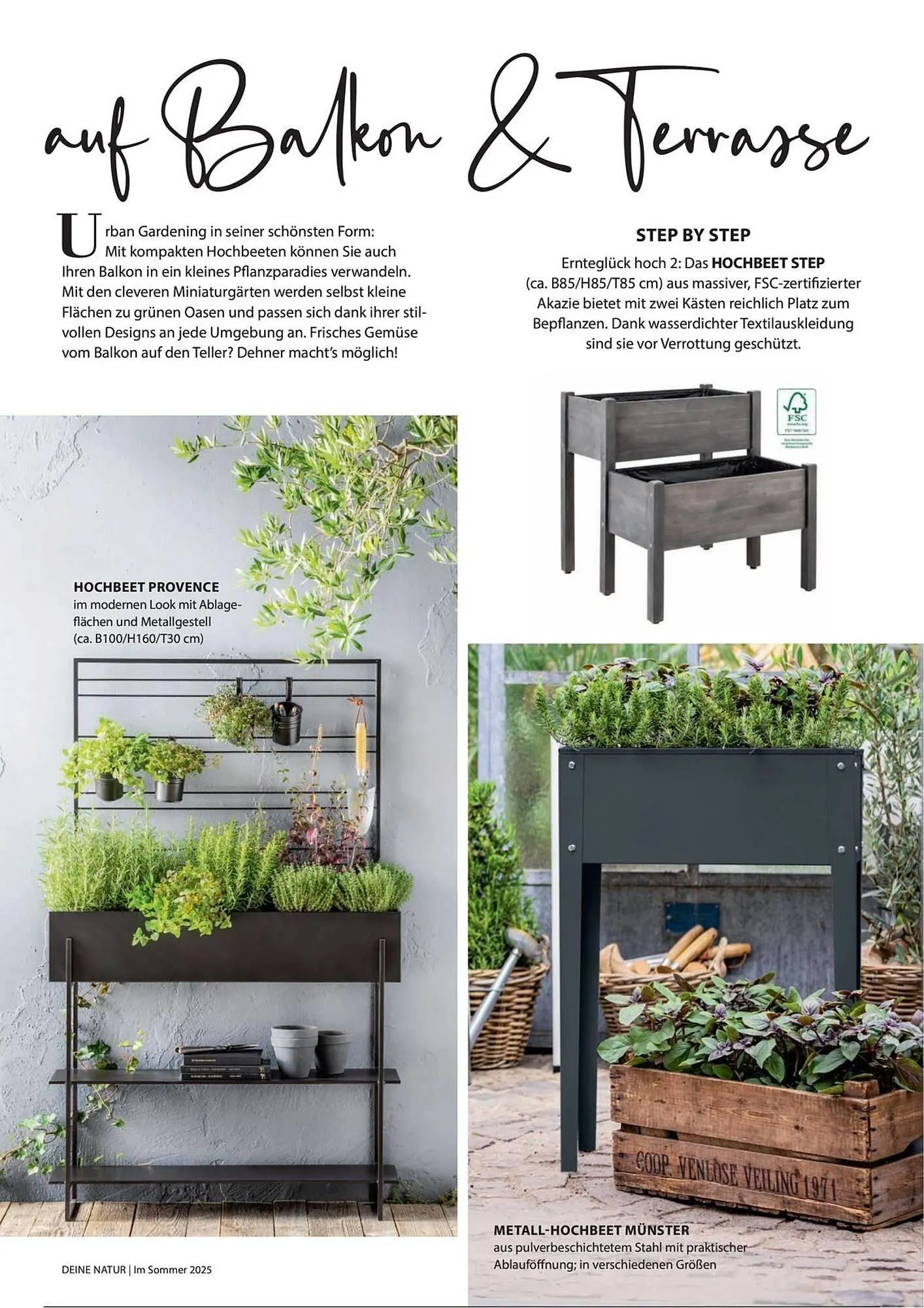 Dehner Prospekt von 1. Juli bis 31. Dezember 2025 - Prospekt seite 57