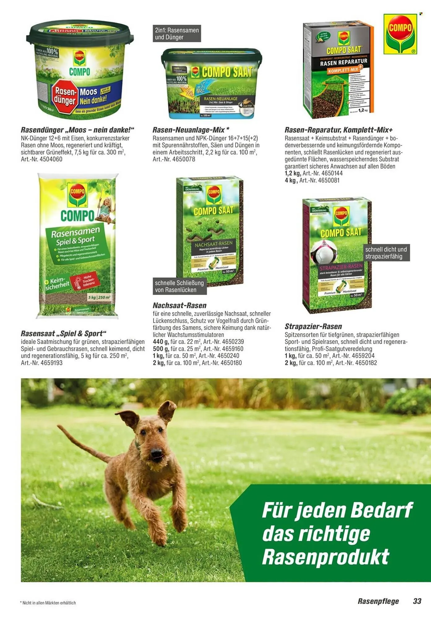 Toom Baumarkt Prospekt von 31. Januar bis 31. März 2026 - Prospekt seite 33