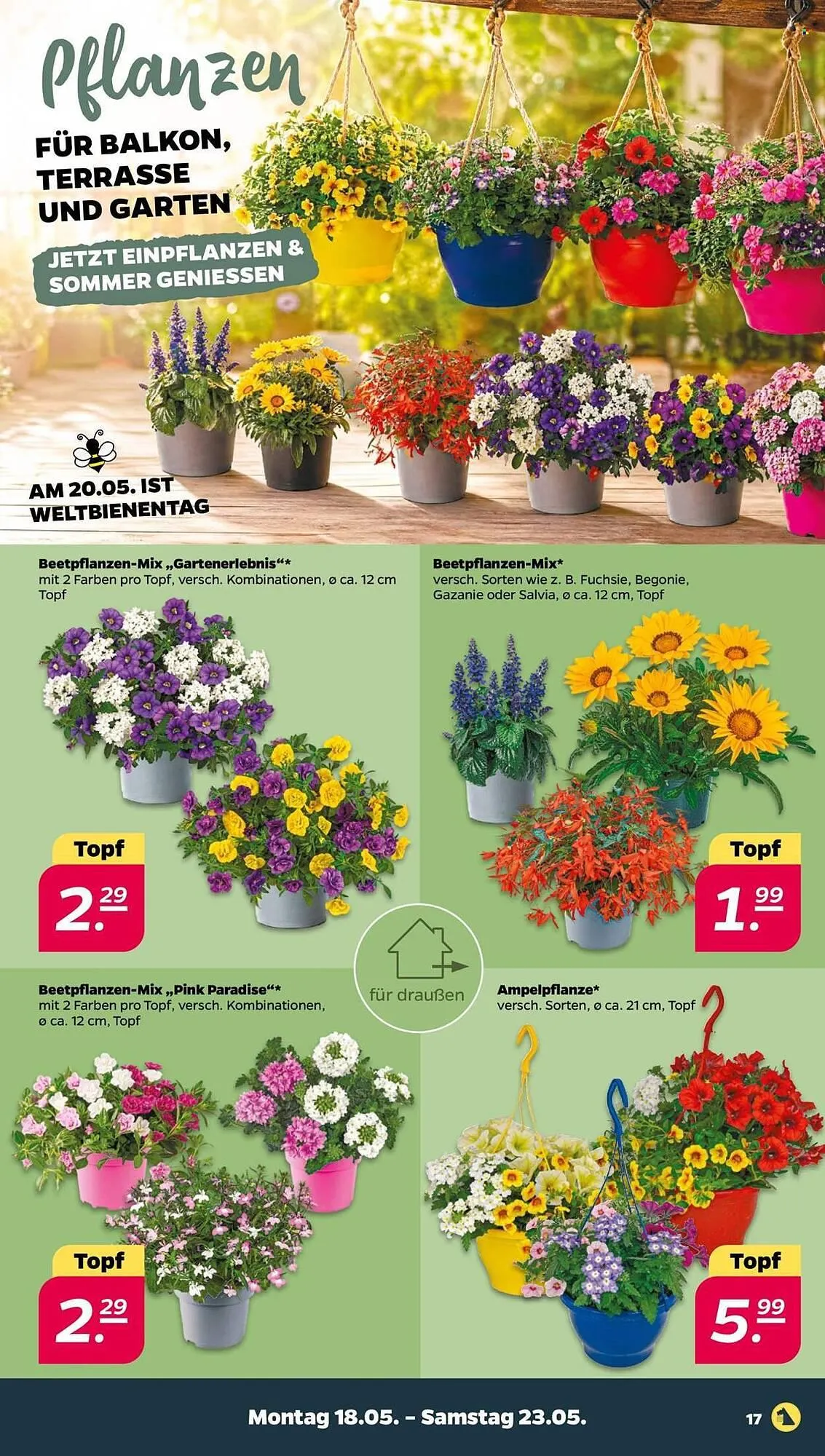 NETTO Prospekt von 18. Mai bis 23. Mai 2026 - Prospekt seite 19