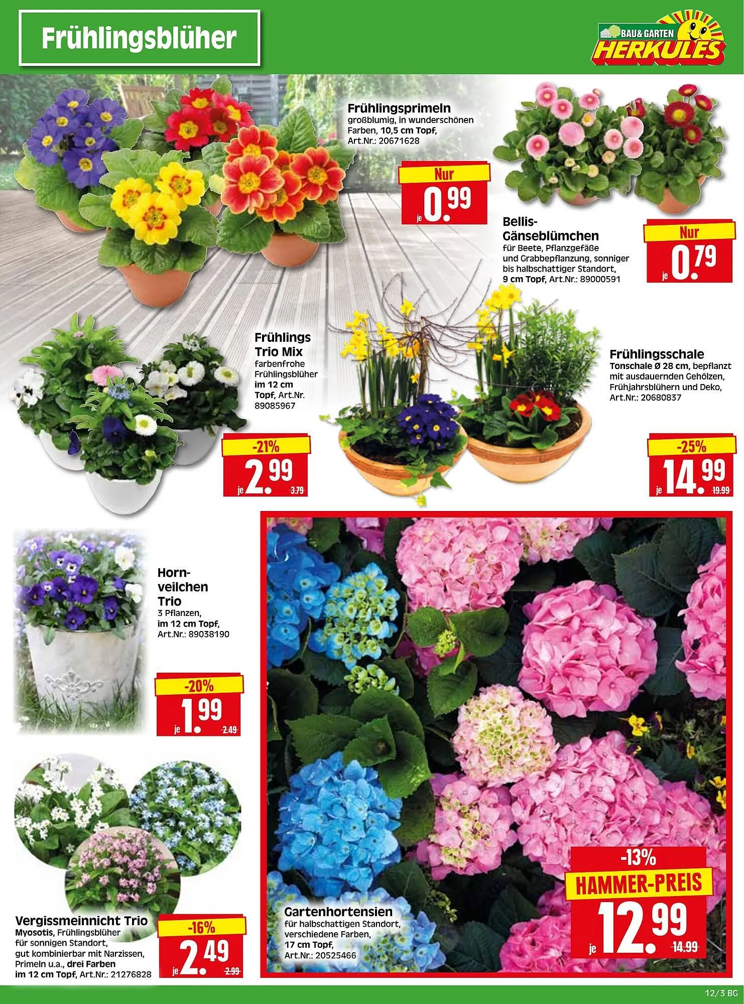 Herkules Baumarkt Prospekt von 17. März bis 22. März 2025 - Prospekt seite 3