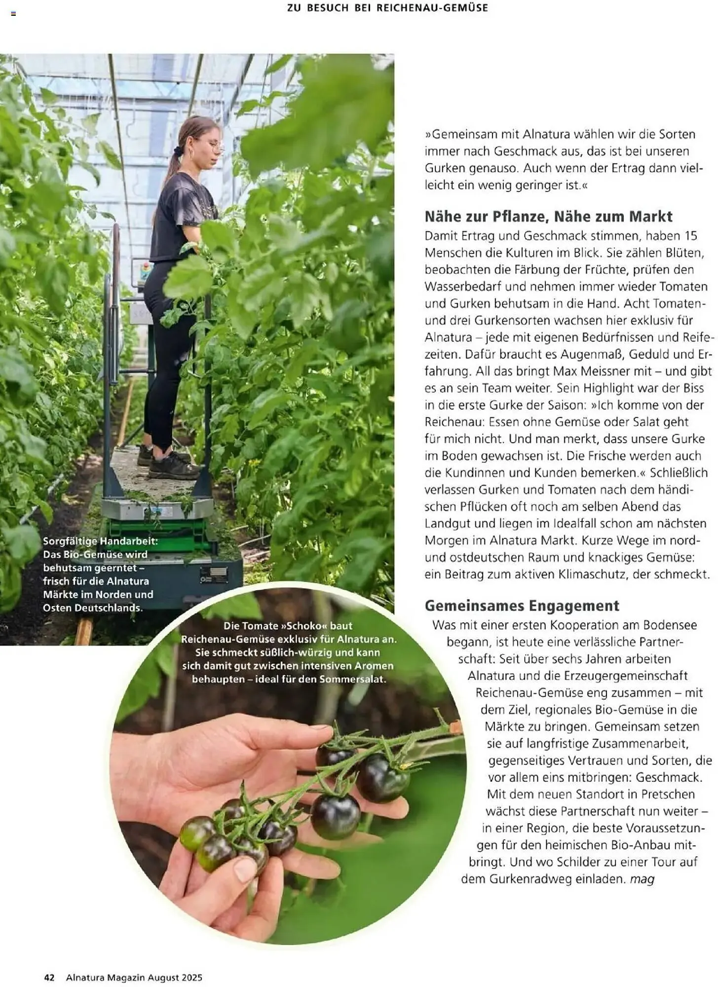 Alnatura Prospekt von 1. August bis 31. August 2025 - Prospekt seite 42