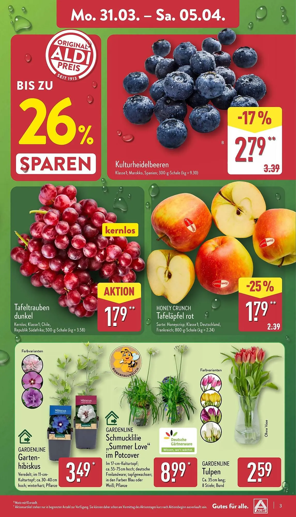 Aldi Nord Prospekt von 31. März bis 5. April 2025 - Prospekt seite 3