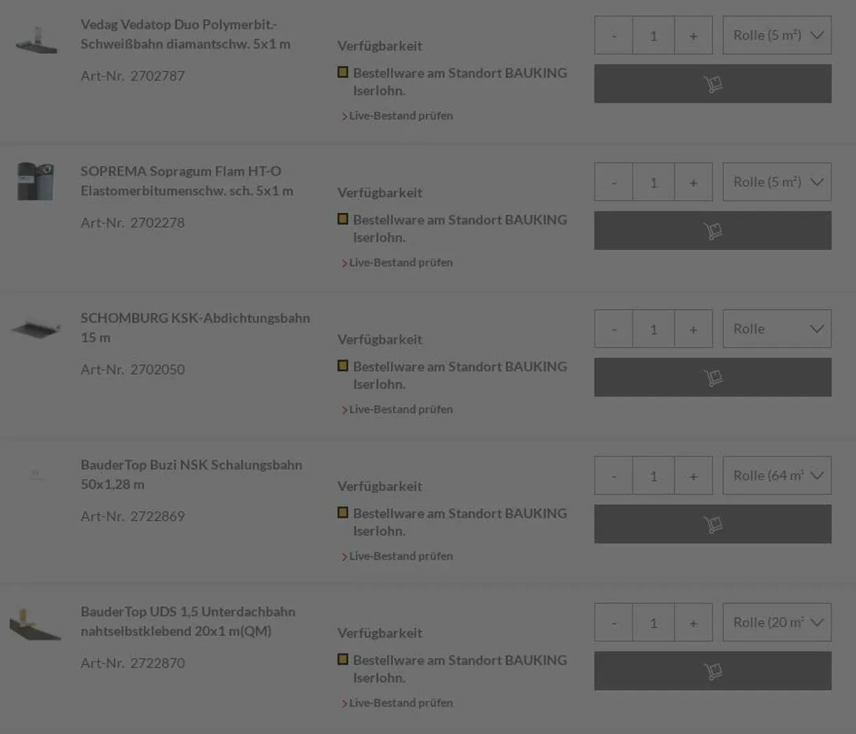 Bauking von 2. Juni bis 11. Juni 2025 - Prospekt seite 15