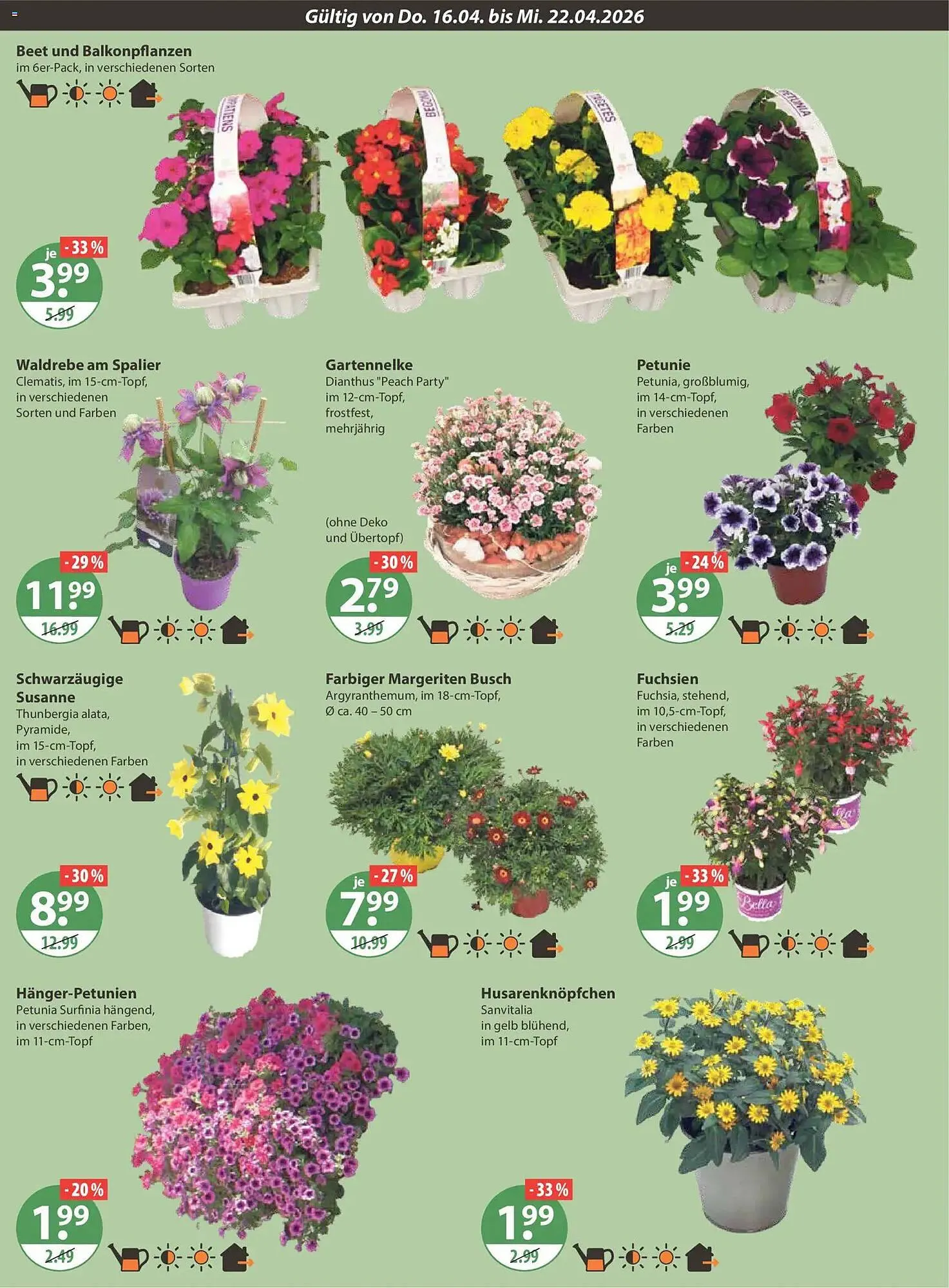 V Markt Prospekt von 16. April bis 22. April 2026 - Prospekt seite 22