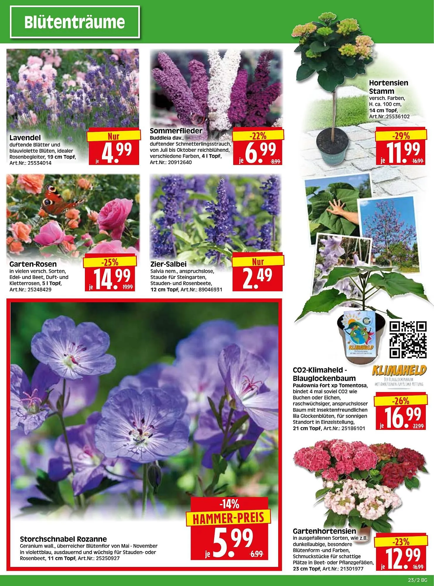 Herkules Baumarkt Prospekt von 2. Juni bis 8. Juni 2025 - Prospekt seite 2