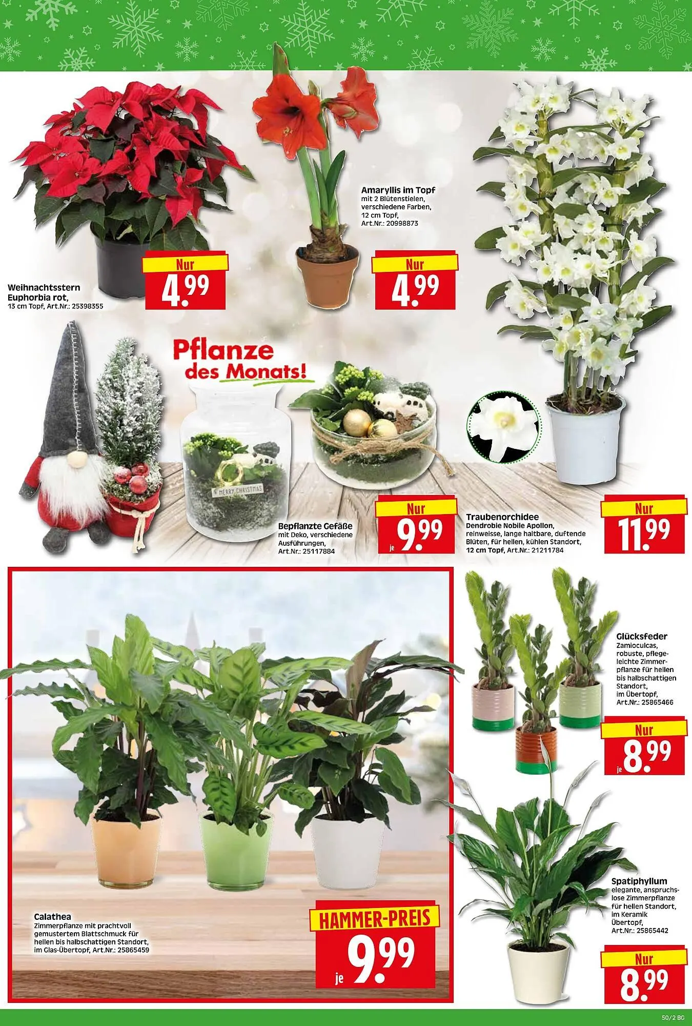 Herkules Baumarkt Prospekt von 8. Dezember bis 13. Dezember 2025 - Prospekt seite 2