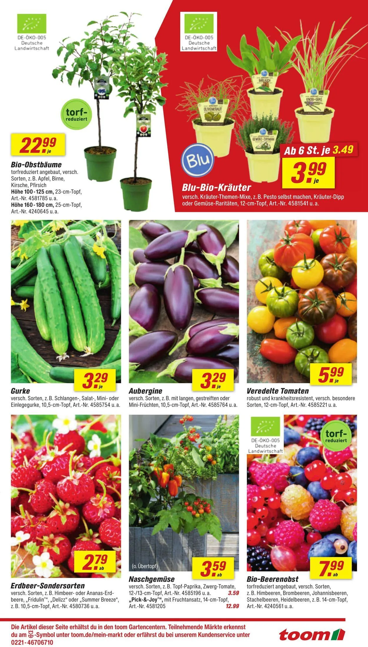 toom Baumarkt Aktueller Prospekt von 18. August bis 1. September 2025 - Prospekt seite 9