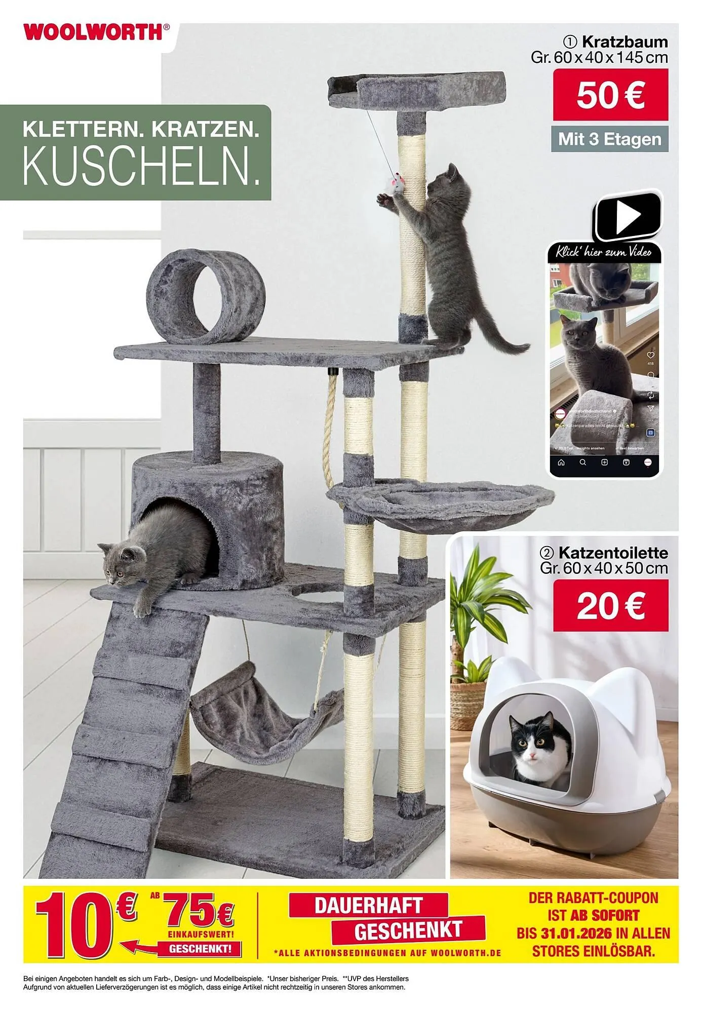 Woolworth Prospekt von 5. Dezember bis 16. Dezember 2025 - Prospekt seite 13