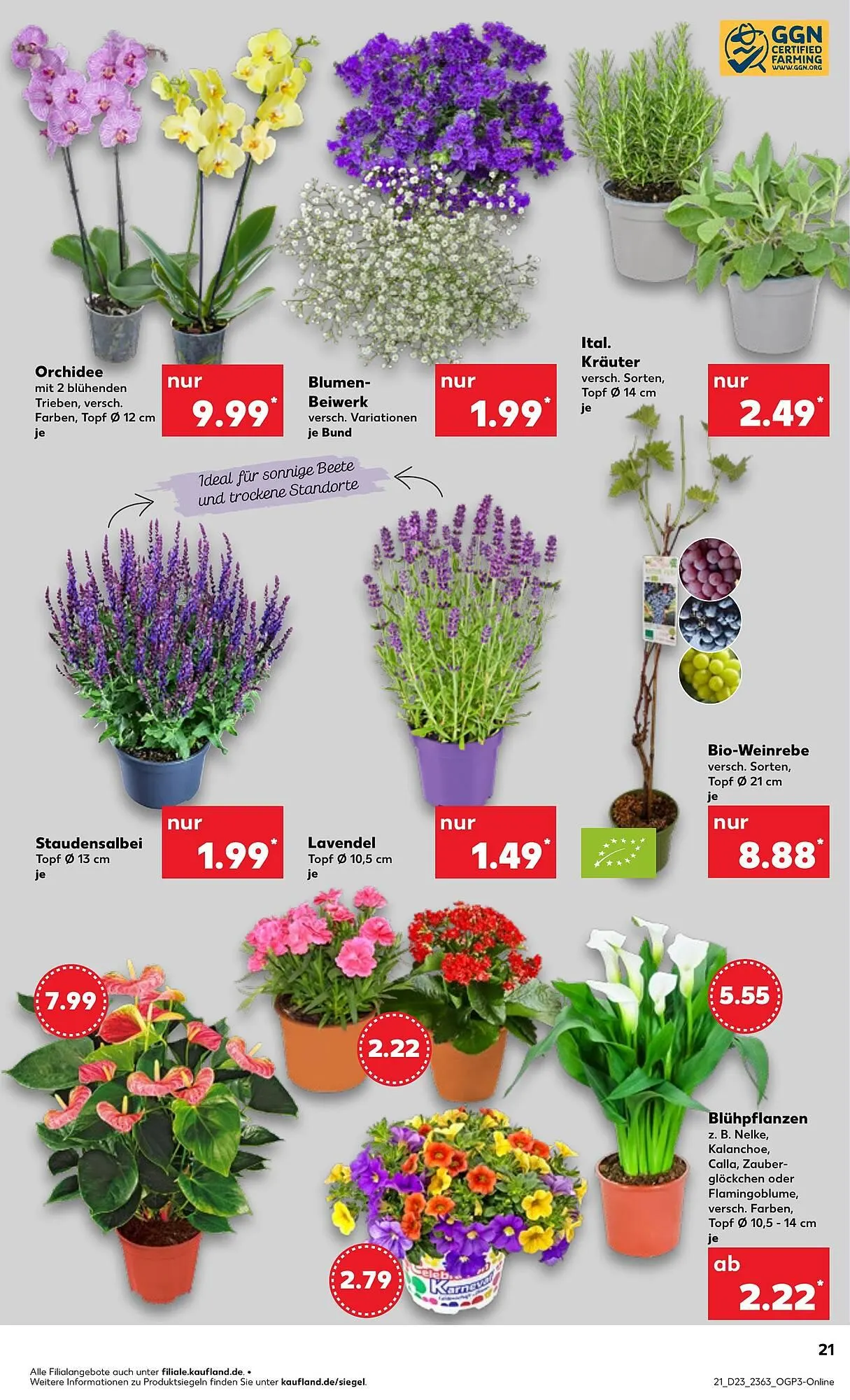 Kaufland Prospekt von 5. Juni bis 11. Juni 2025 - Prospekt seite 23