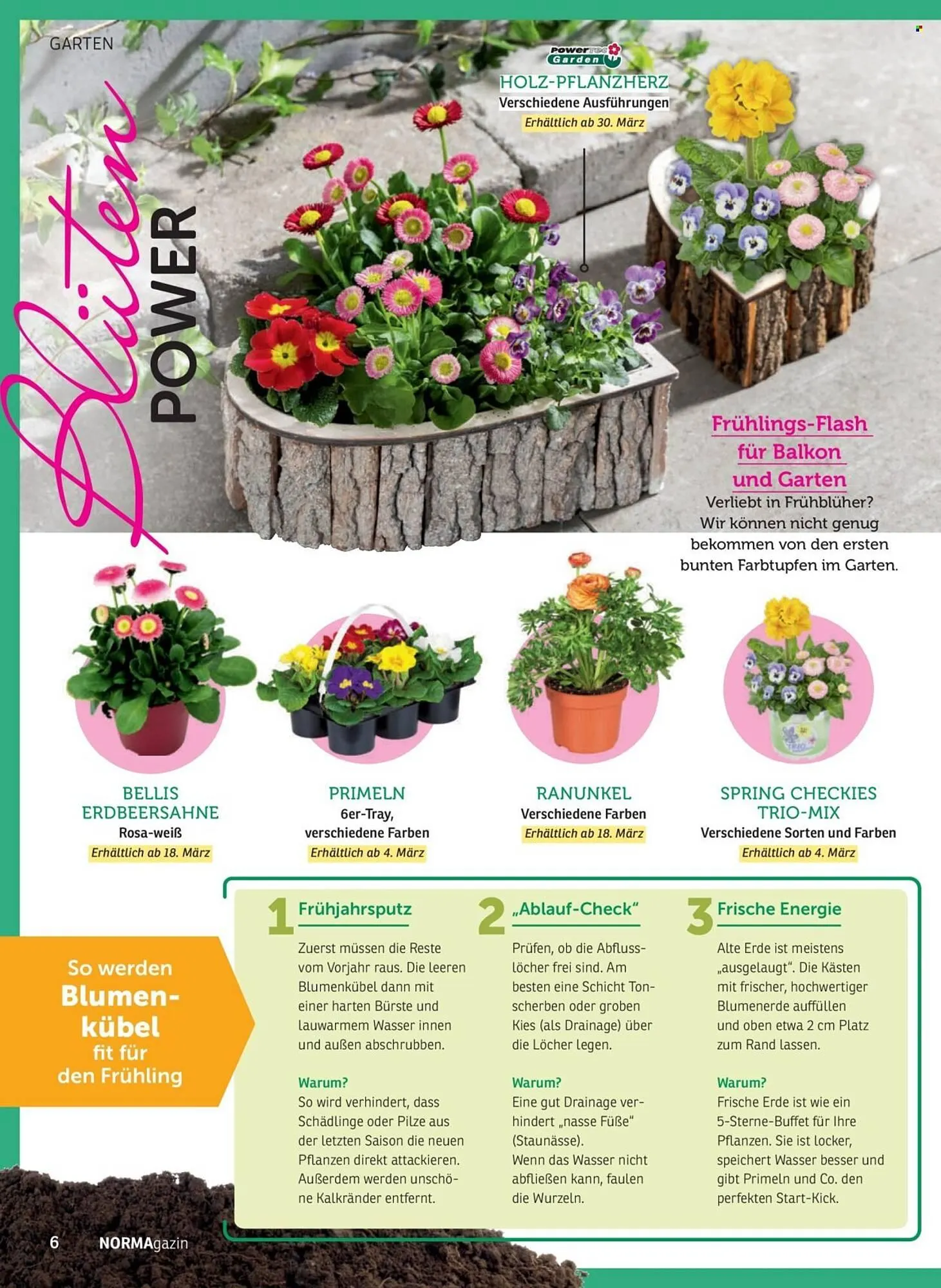Norma Magazin von 1. März bis 30. April 2026 - Prospekt seite 6