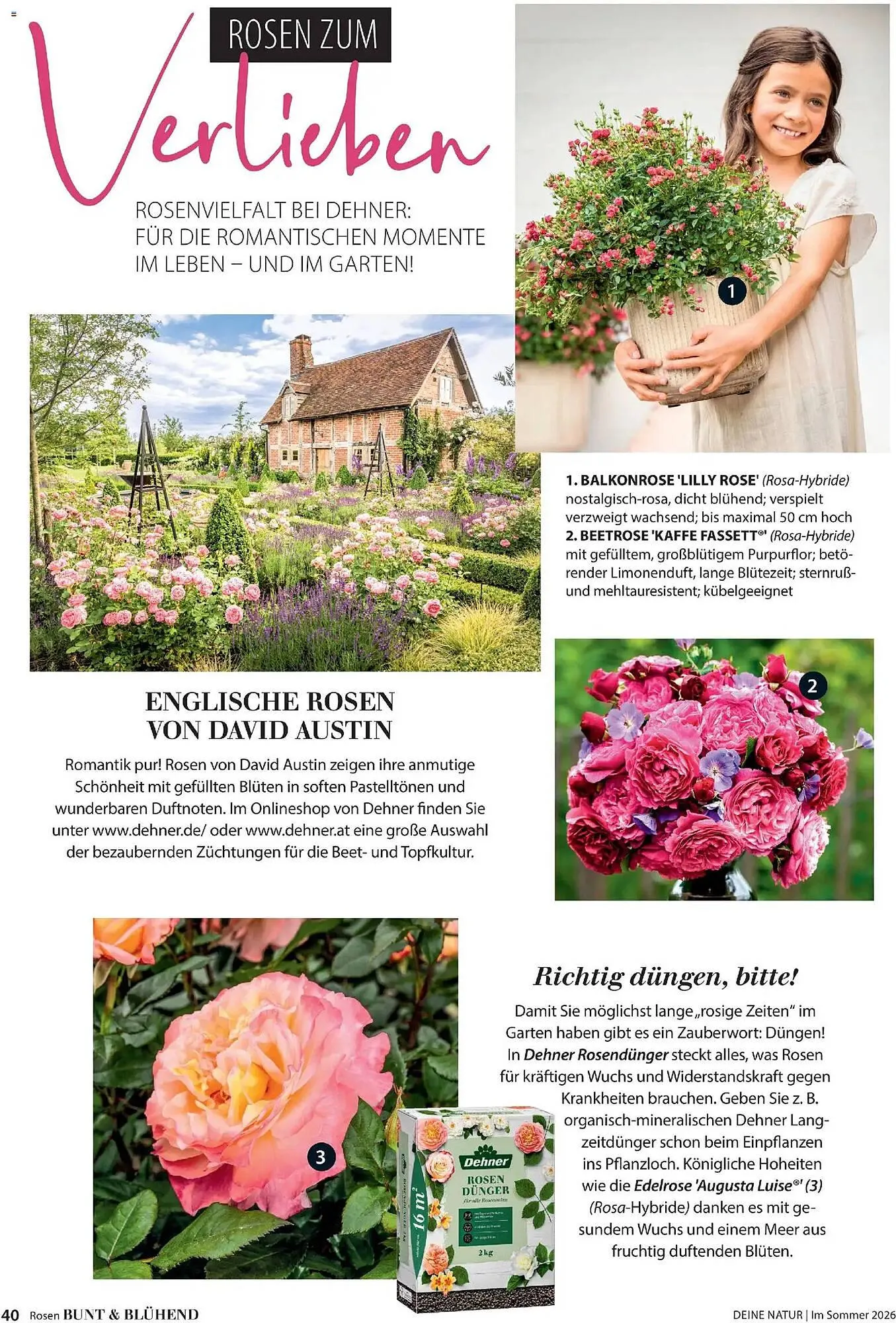 Dehner Prospekt von 17. April bis 31. August 2026 - Prospekt seite 40