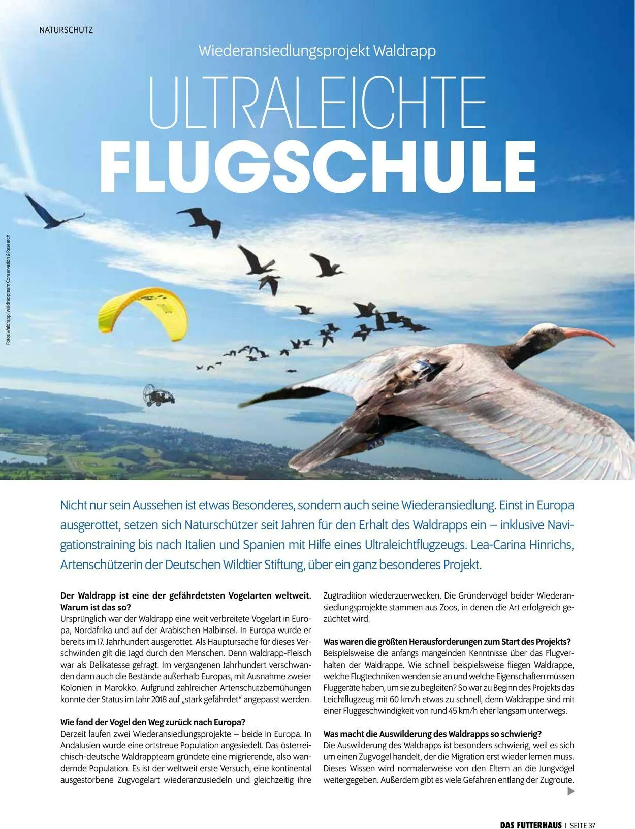 Futterhaus Aktueller Prospekt von 1. Juni bis 30. Juni 2025 - Prospekt seite 37