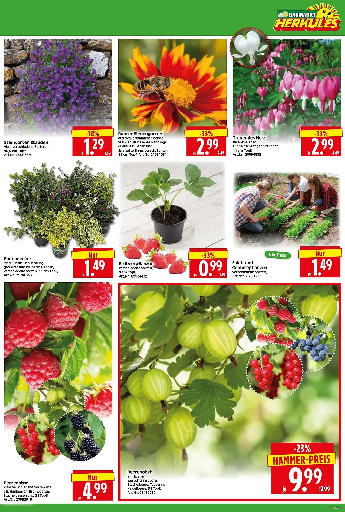 Herkules Baumarkt Prospekt von 30. März bis 4. April 2026 - Prospekt seite 3