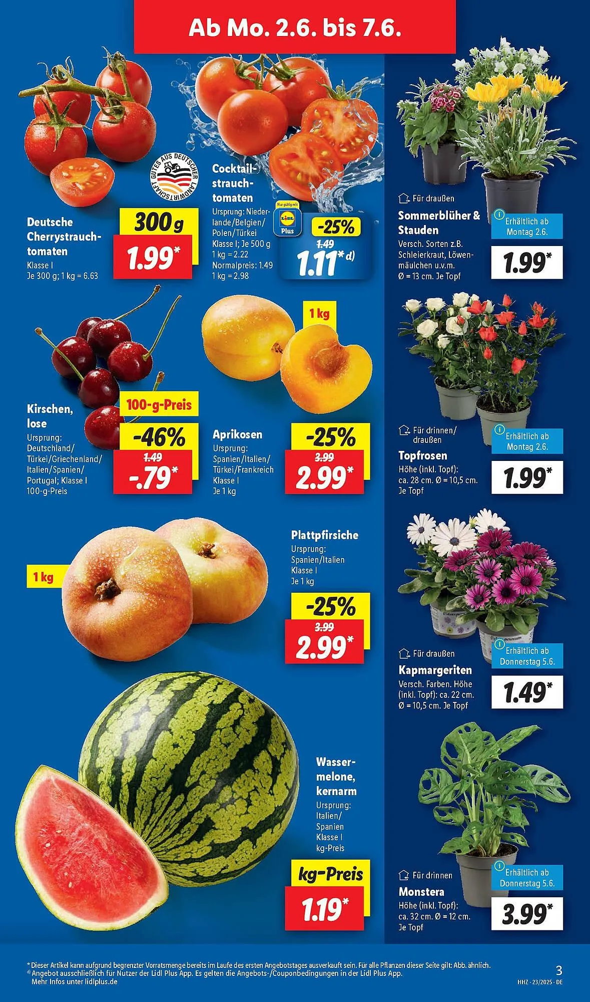 Lidl Prospekt von 1. Juni bis 7. Juni 2025 - Prospekt seite 7