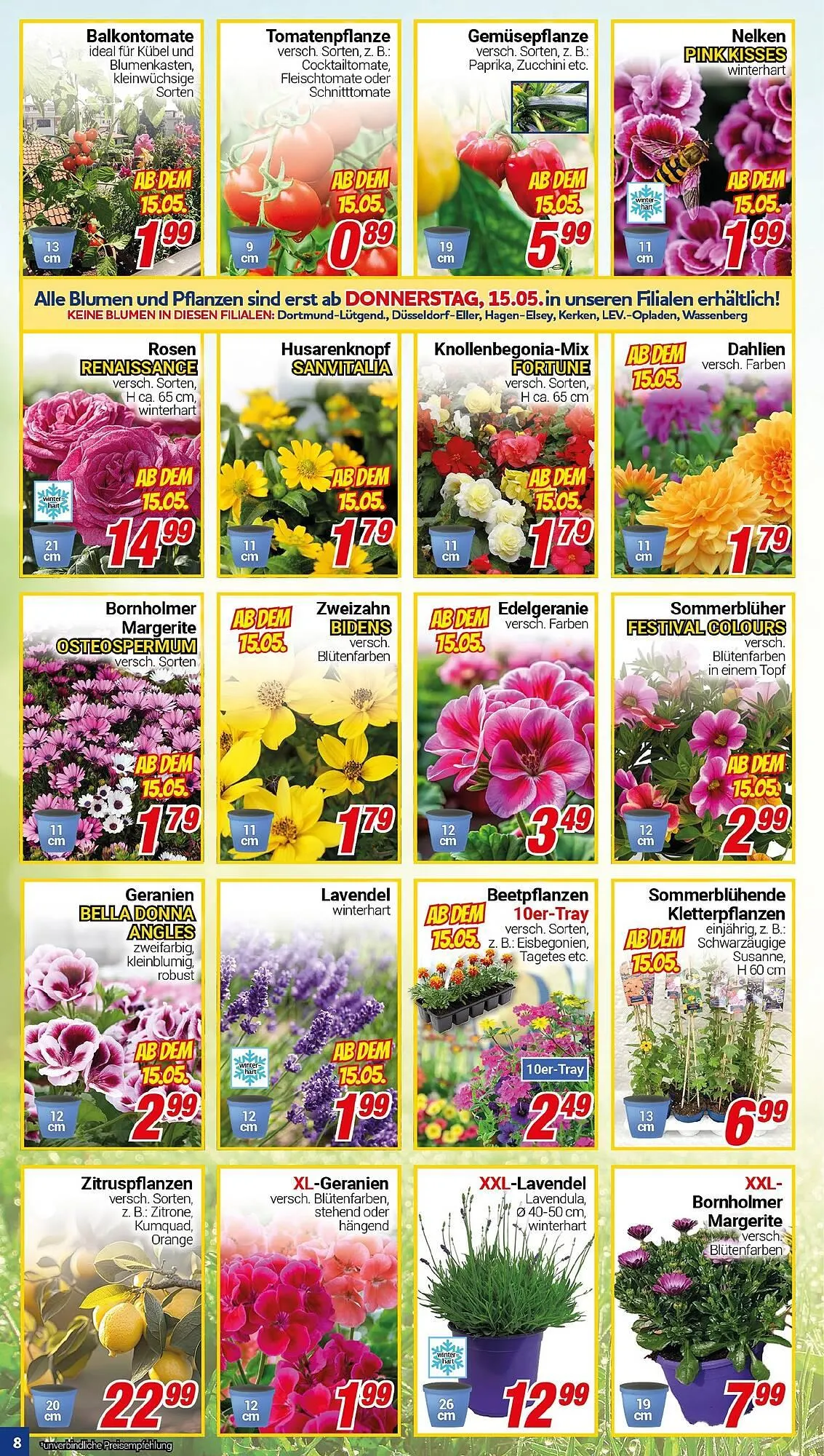 CENTERSHOP Prospekt von 12. Mai bis 17. Mai 2025 - Prospekt seite 8