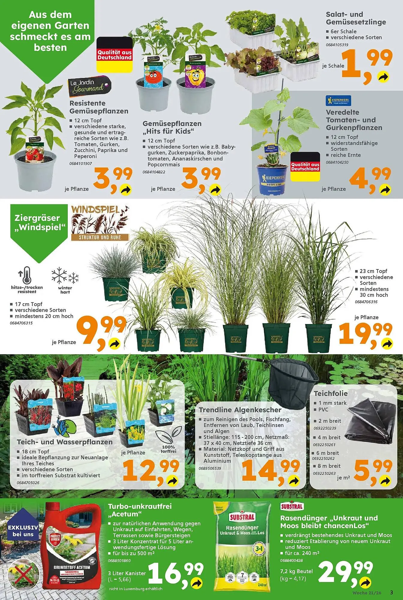 Globus Baumarkt Prospekt von 17. Mai bis 23. Mai 2026 - Prospekt seite 3