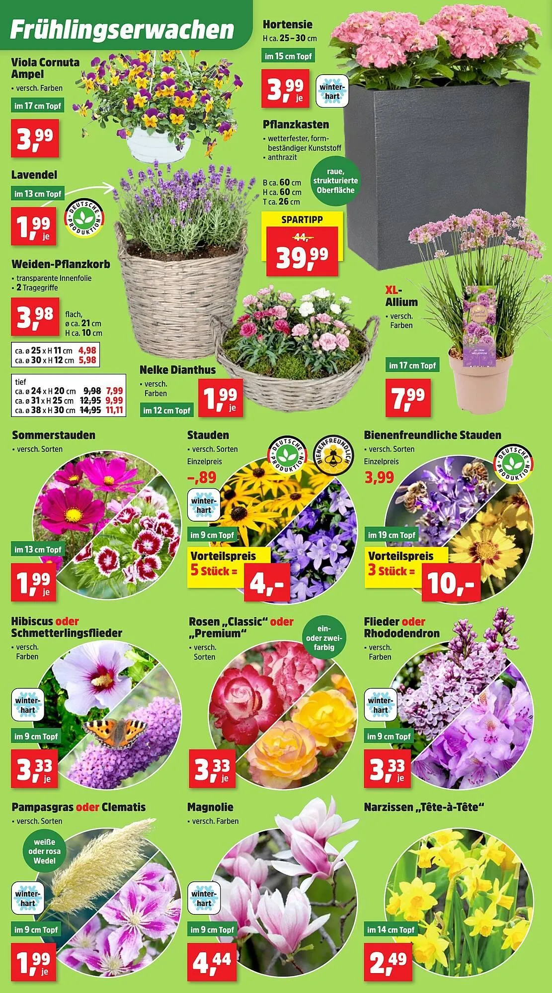 Thomas Philipps Prospekt von 23. März bis 28. März 2026 - Prospekt seite 4