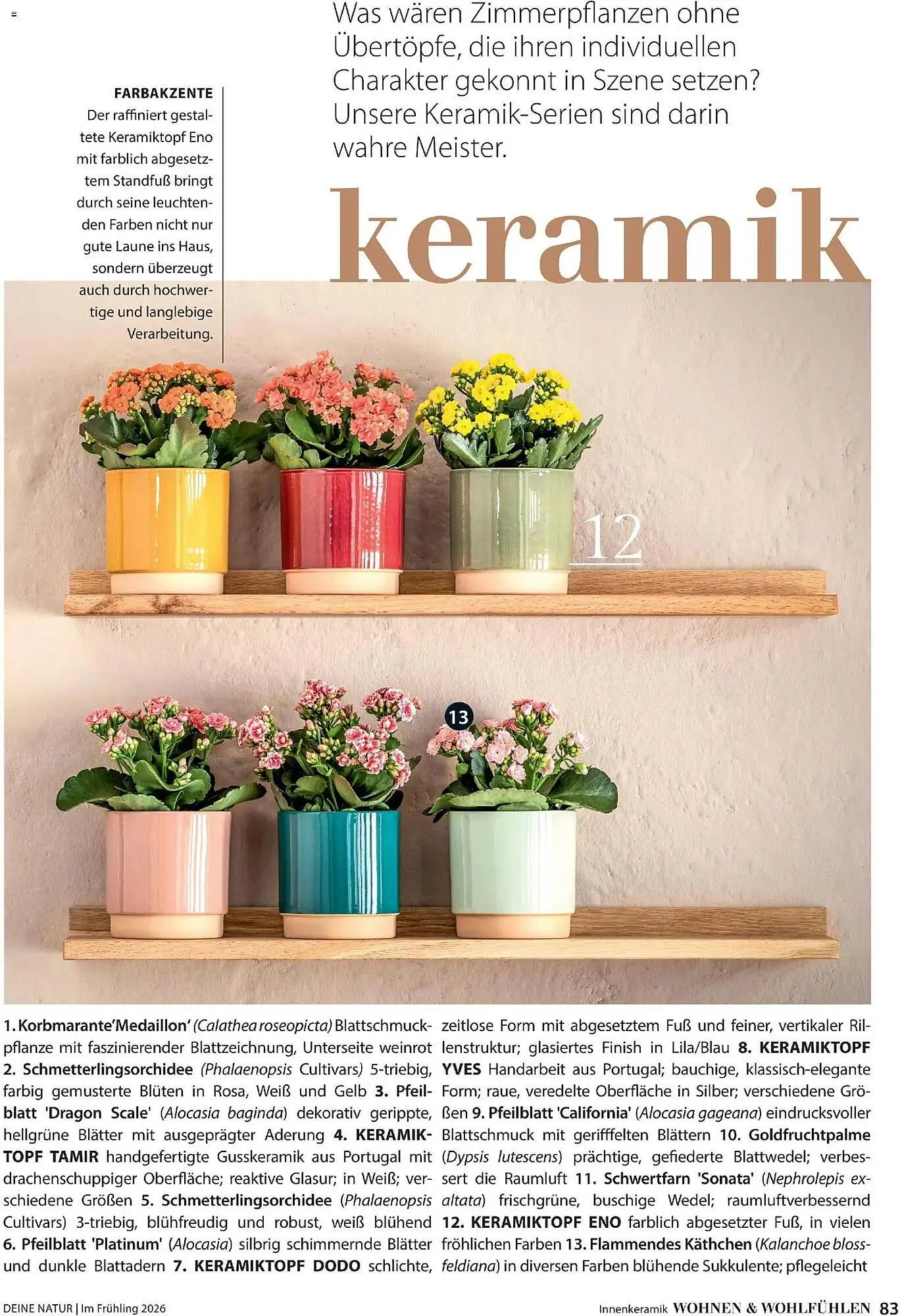 Dehner Prospekt von 4. März bis 31. Mai 2026 - Prospekt seite 83