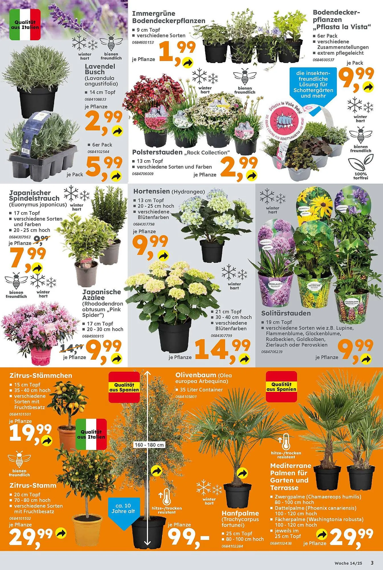 Globus Baumarkt Prospekt von 30. März bis 5. April 2025 - Prospekt seite 3