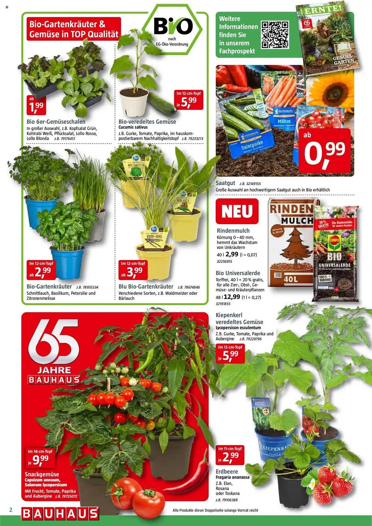 Bauhaus Prospekt von 29. März bis 3. Mai 2025 - Prospekt seite 2