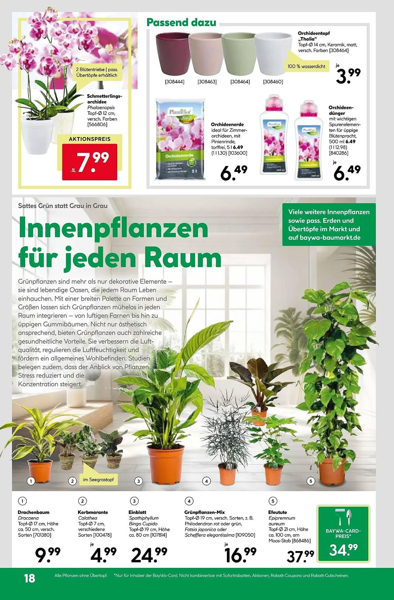 BayWa Prospekt von 29. Dezember bis 4. Januar 2026 - Prospekt seite 20