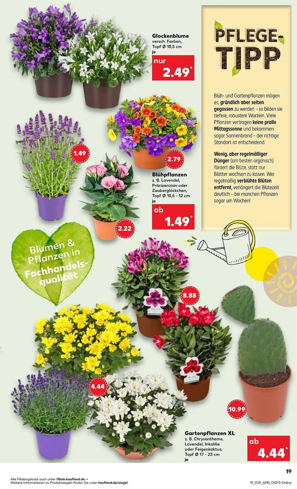 Kaufland Prospekt von 17. Juli bis 23. Juli 2025 - Prospekt seite 19